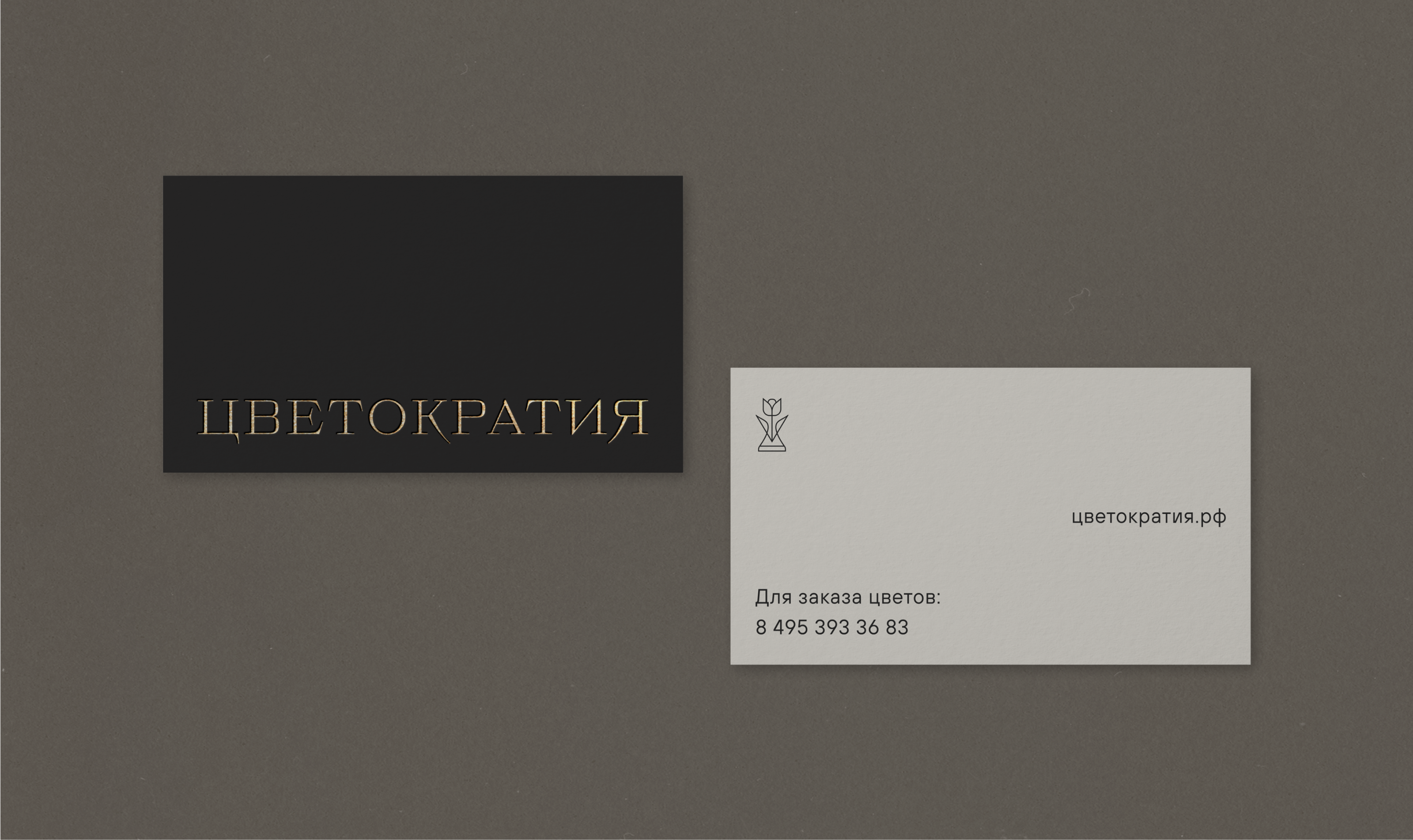 Цветократия — Изображение №8 — Брендинг, Графика на Dprofile