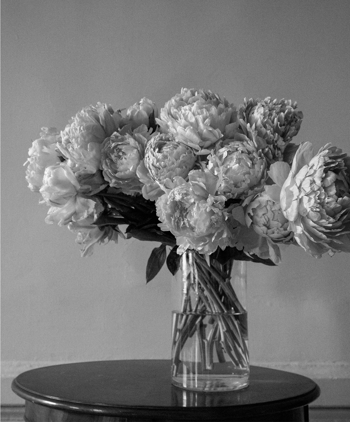 Цветократия — Изображение №12 — Брендинг, Графика на Dprofile