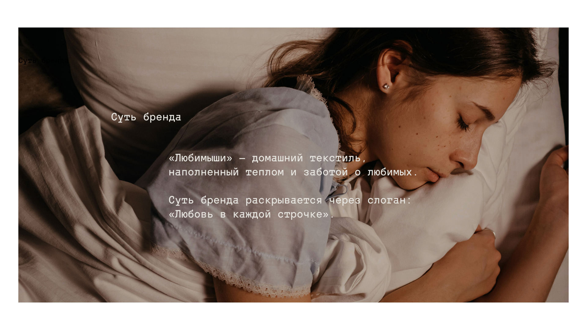 Брендинг для производителя домашнего текстиля Любимыши — Изображение №2 — Брендинг, Графика на Dprofile