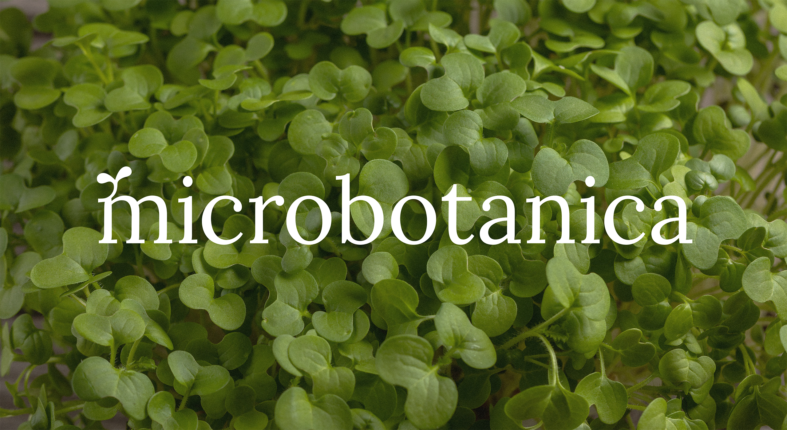 Сити-ферма microbotanica. Нейминг, айдентика и шрифт. — Изображение №1 — Брендинг, Графика на Dprofile