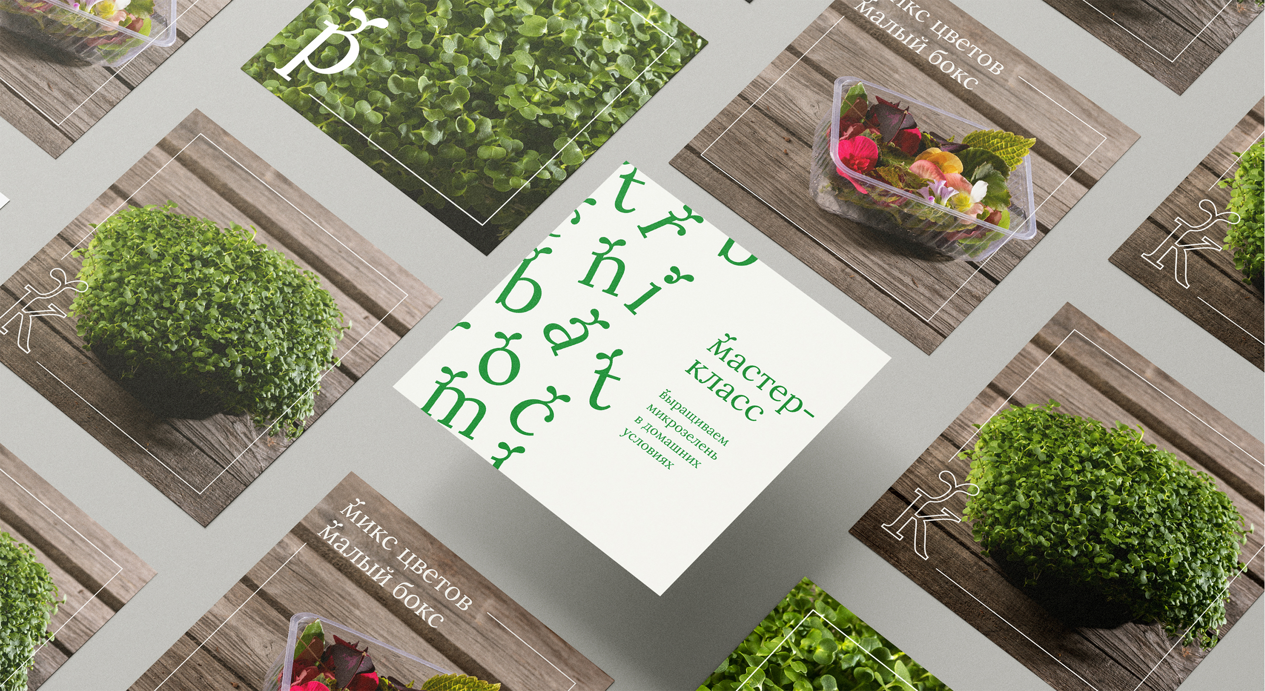 Сити-ферма microbotanica. Нейминг, айдентика и шрифт. — Изображение №11 — Брендинг, Графика на Dprofile