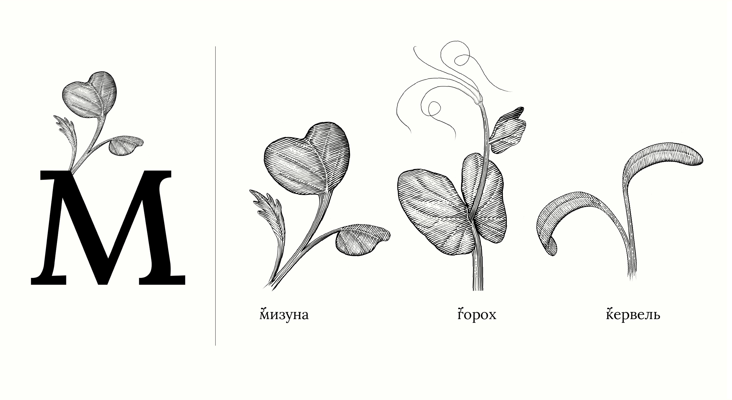Сити-ферма microbotanica. Нейминг, айдентика и шрифт. — Изображение №8 — Брендинг, Графика на Dprofile
