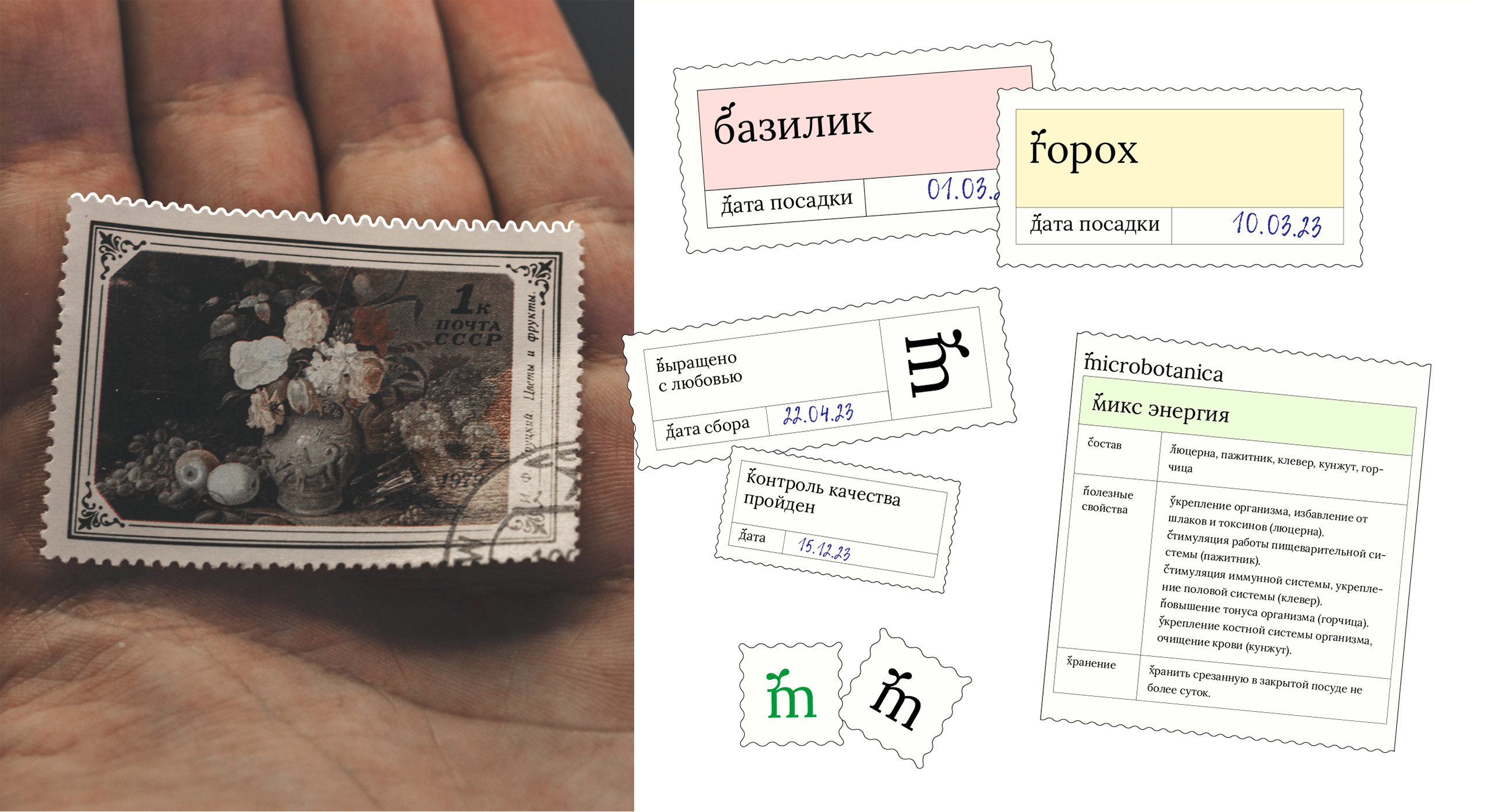Сити-ферма microbotanica. Нейминг, айдентика и шрифт. — Изображение №6 — Брендинг, Графика на Dprofile