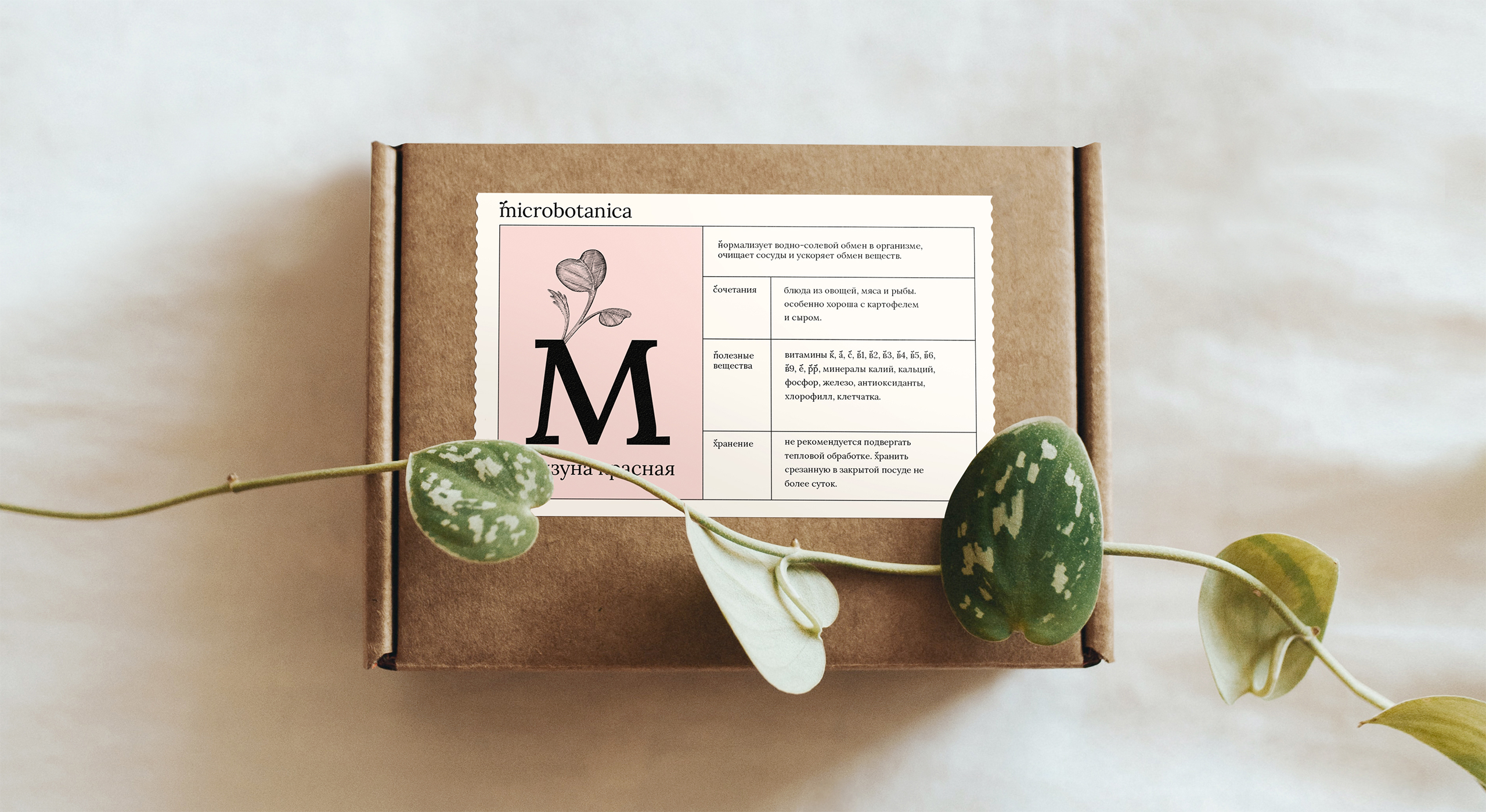 Сити-ферма microbotanica. Нейминг, айдентика и шрифт. — Изображение №9 — Брендинг, Графика на Dprofile