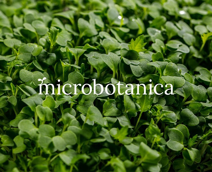 Сити-ферма microbotanica. Нейминг, айдентика и шрифт. — Брендинг, Графика на Dprofile
