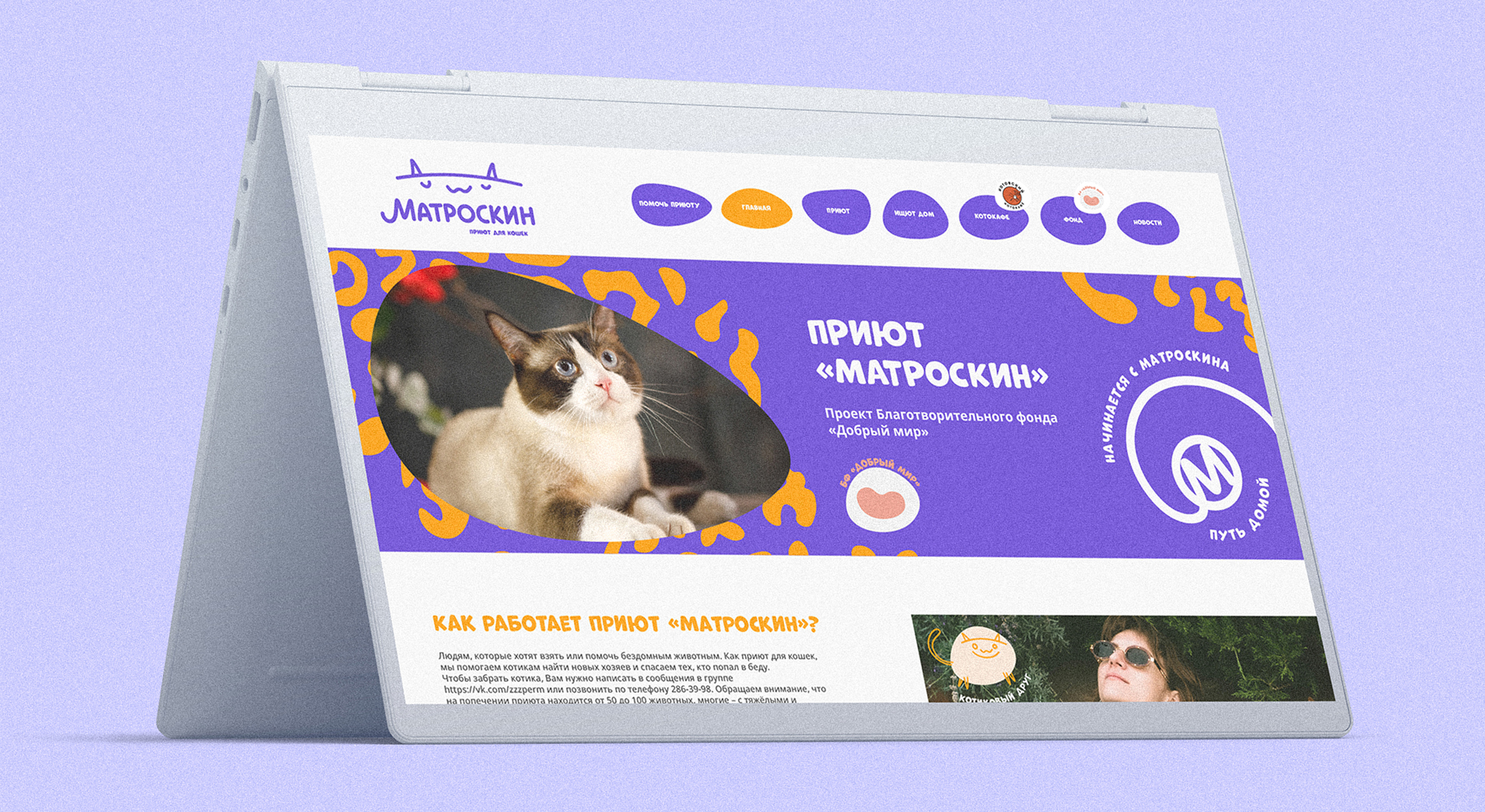 Ребрендинг приюта для кошек «Матроскин» — Изображение №21 — Брендинг на Dprofile