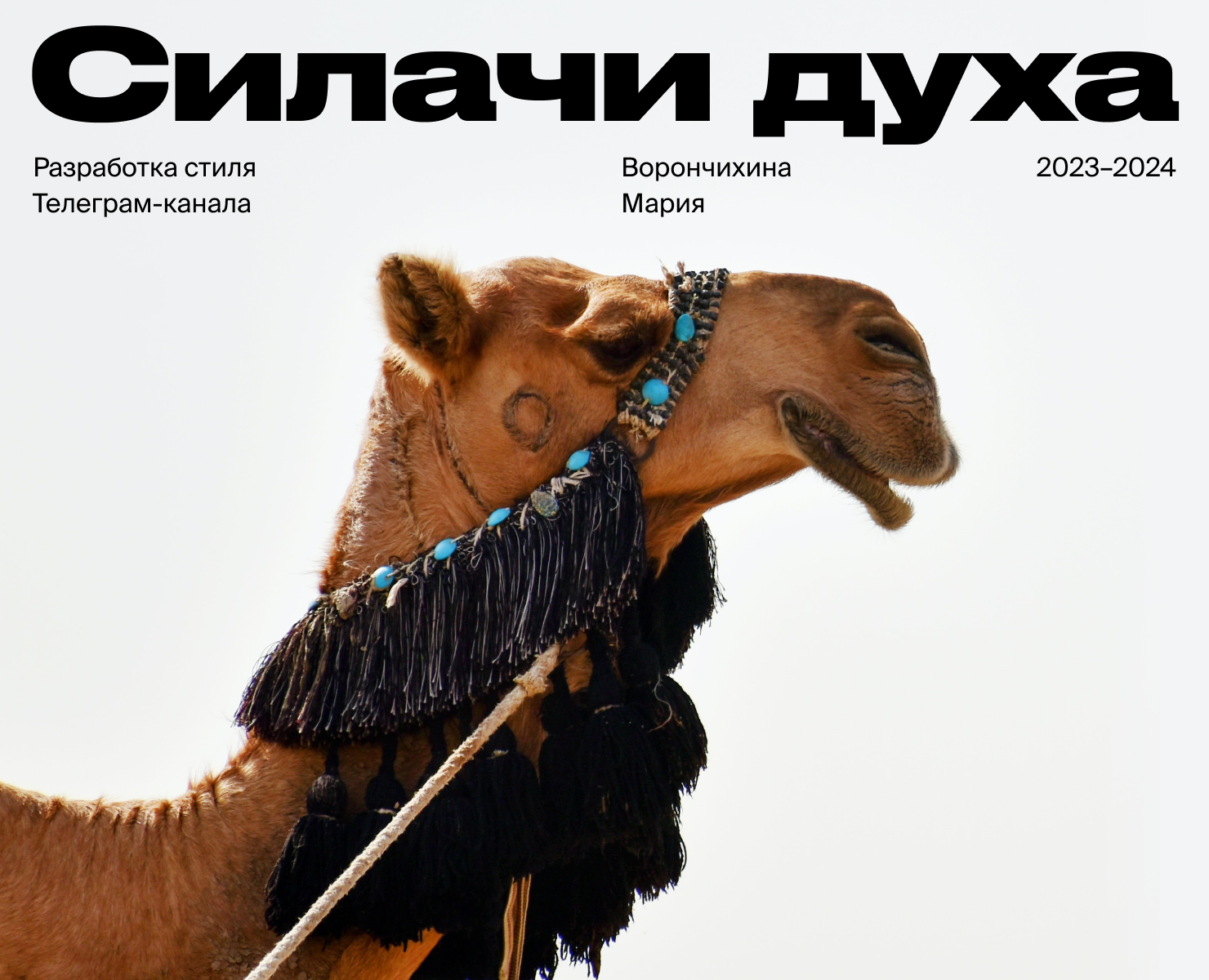 Силачи духа СММ Дизайн — Брендинг, Маркетинг на Dprofile