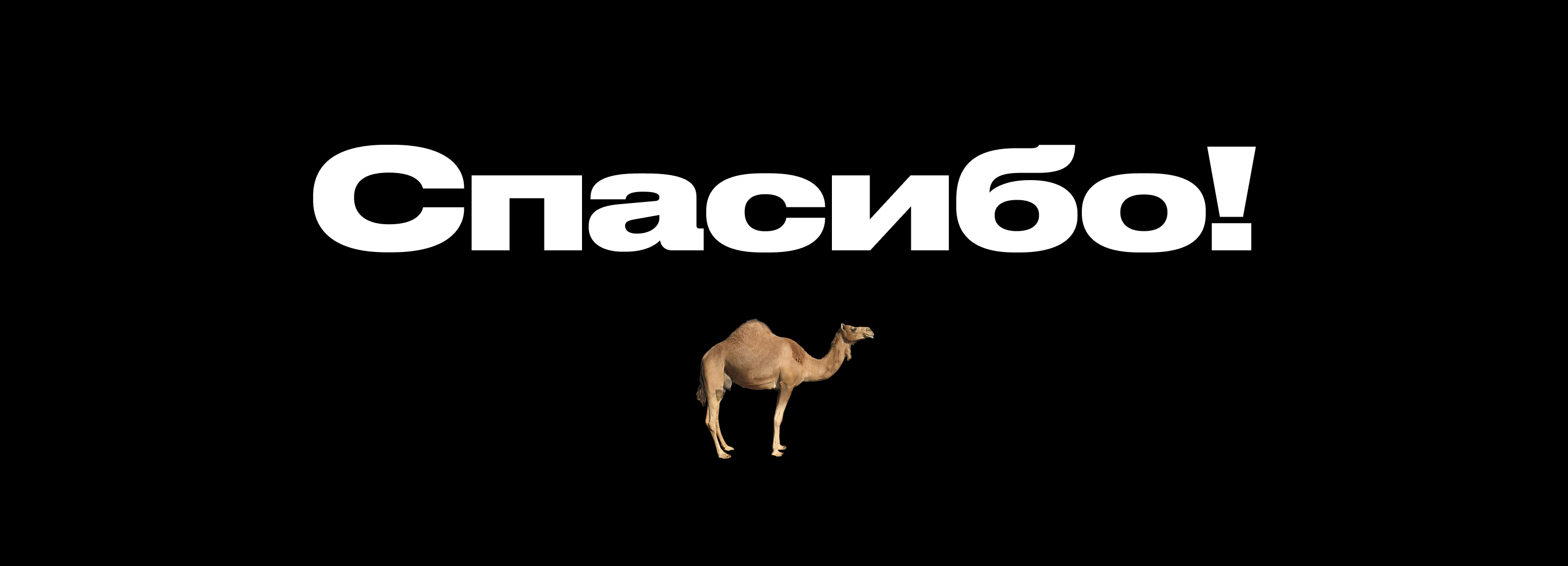 Силачи духа СММ Дизайн — Изображение №8 — Брендинг, Маркетинг на Dprofile