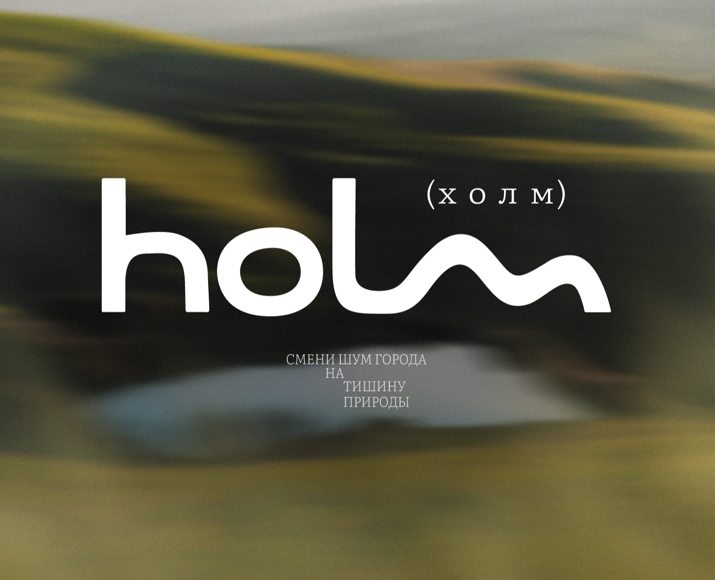 HOLM / Фирменный стиль для эко-отеля на Dprofile