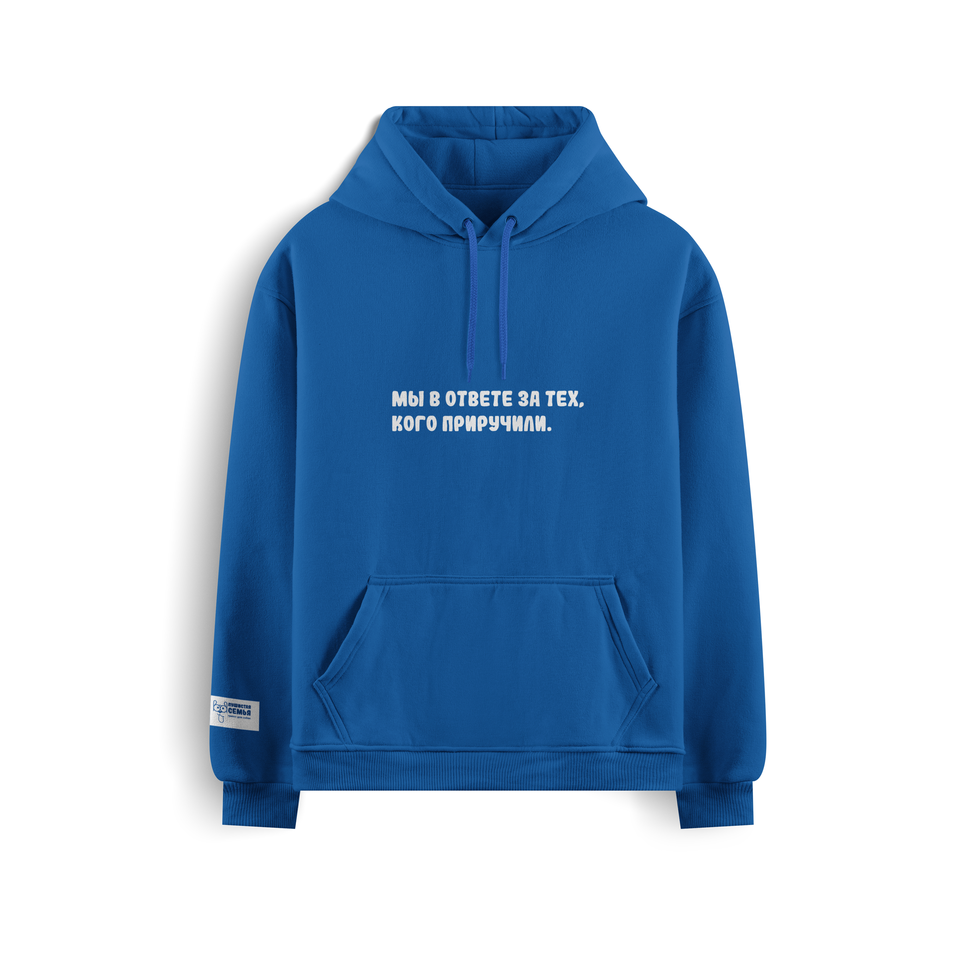 БРЕНДБУК. Приют для собак «Пушистая семья» (Студвесна 2025) — Изображение №5 — Брендинг, Графика на Dprofile