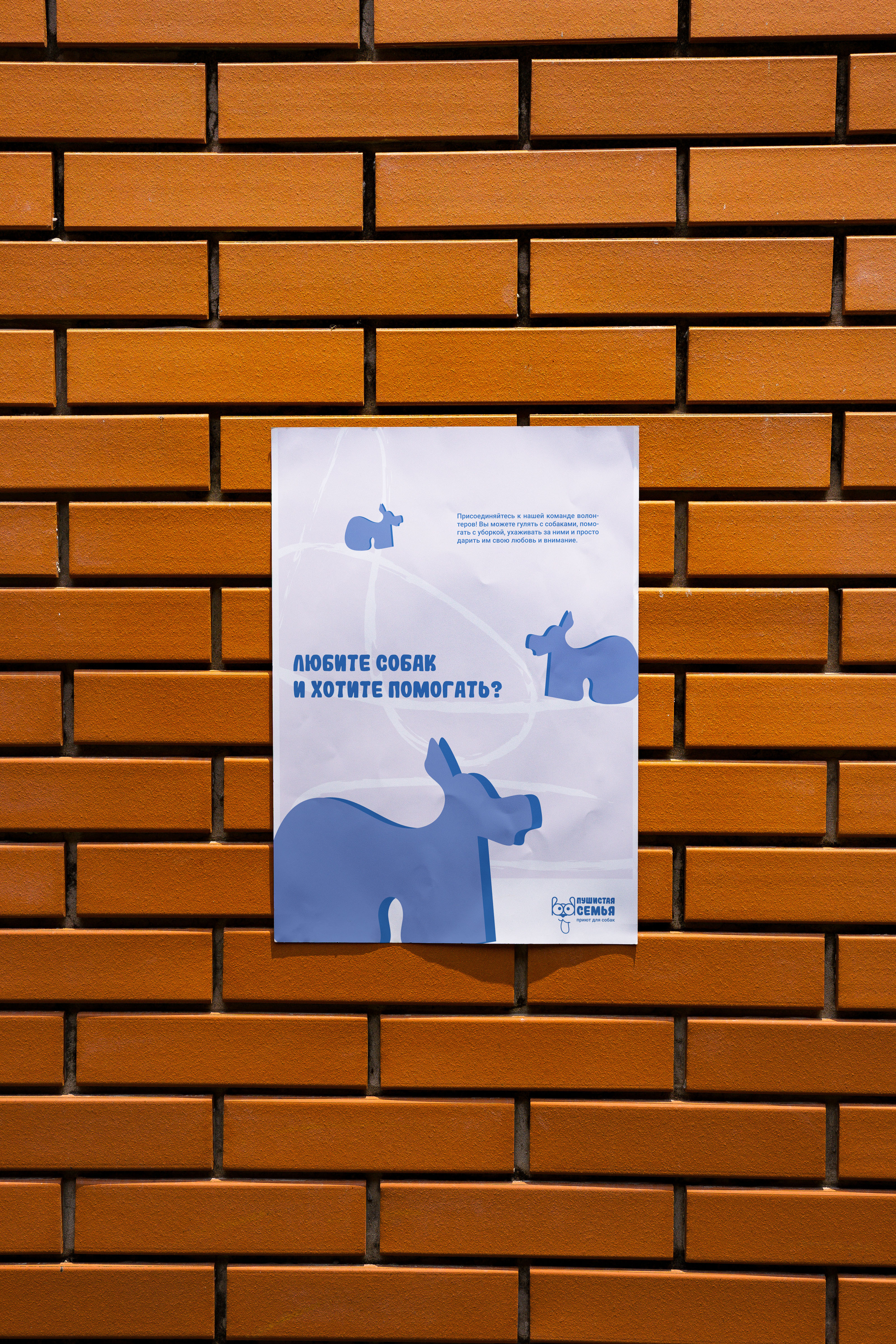 БРЕНДБУК. Приют для собак «Пушистая семья» (Студвесна 2025) — Изображение №18 — Брендинг, Графика на Dprofile