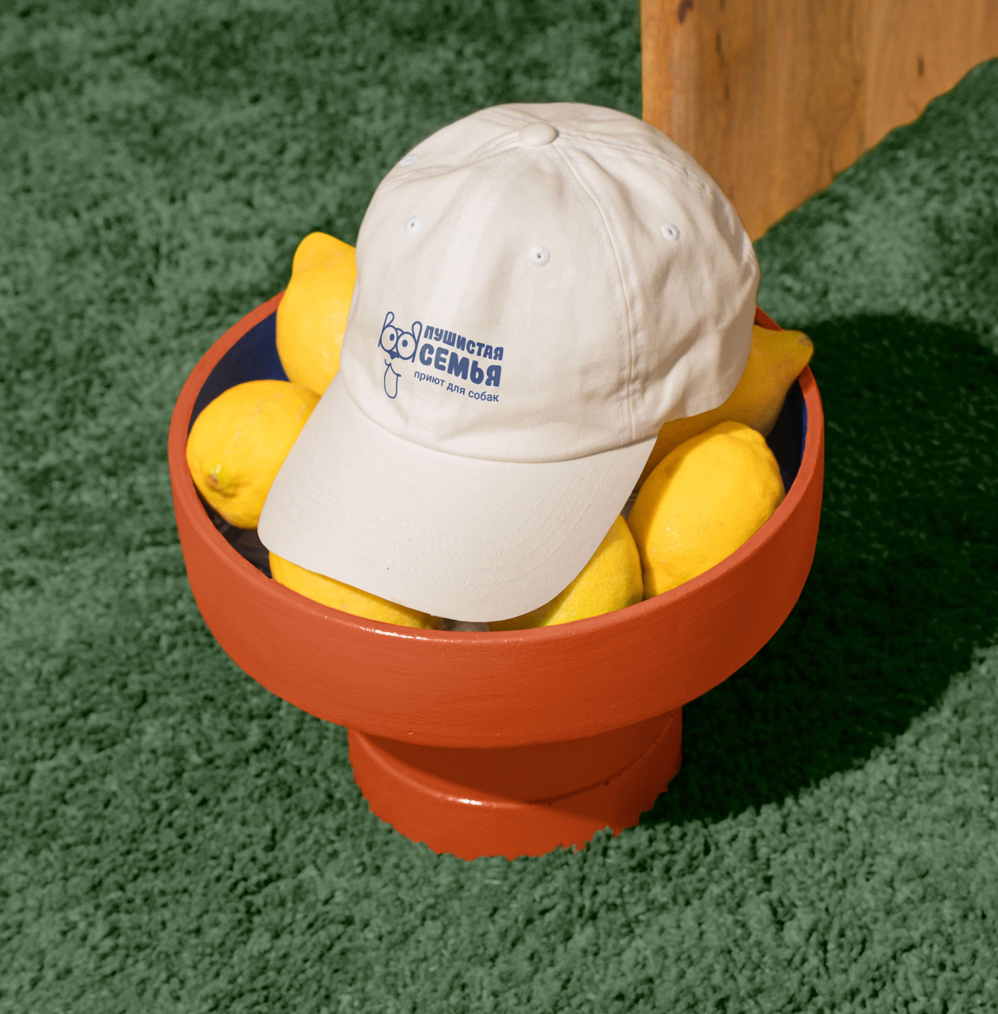 БРЕНДБУК. Приют для собак «Пушистая семья» (Студвесна 2025) — Изображение №11 — Брендинг, Графика на Dprofile