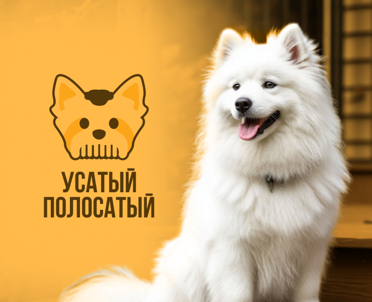 «Усатый-полосатый»: комбинированный логотип — Брендинг на Dprofile