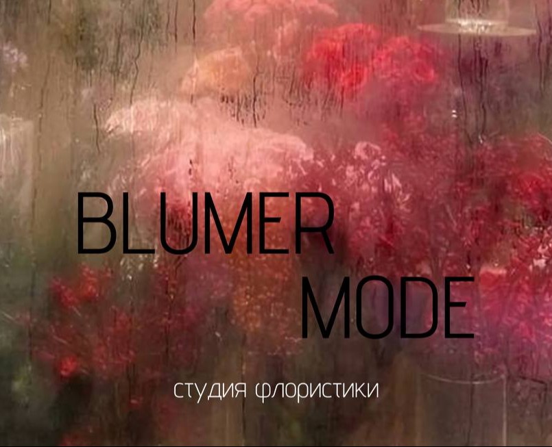 BLUMER MODE студия фористики — Брендинг на Dprofile