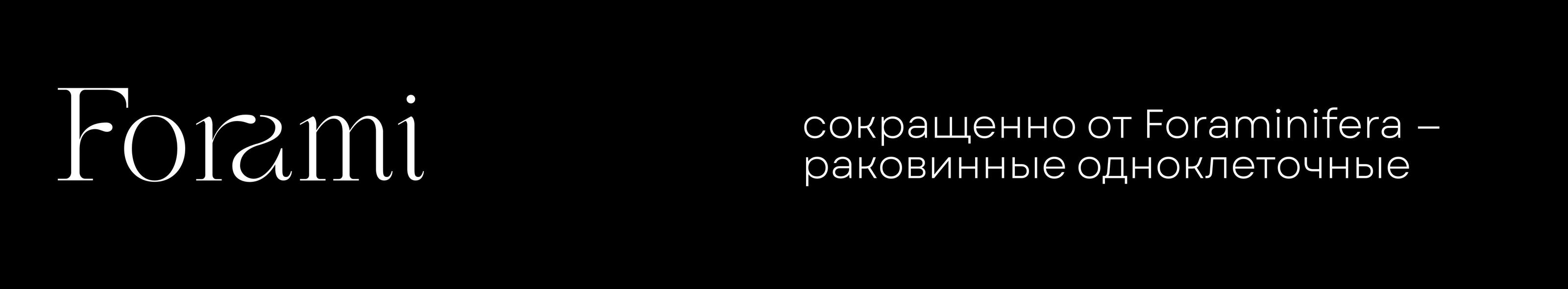 Forami — Изображение №2 — Брендинг, Графика на Dprofile