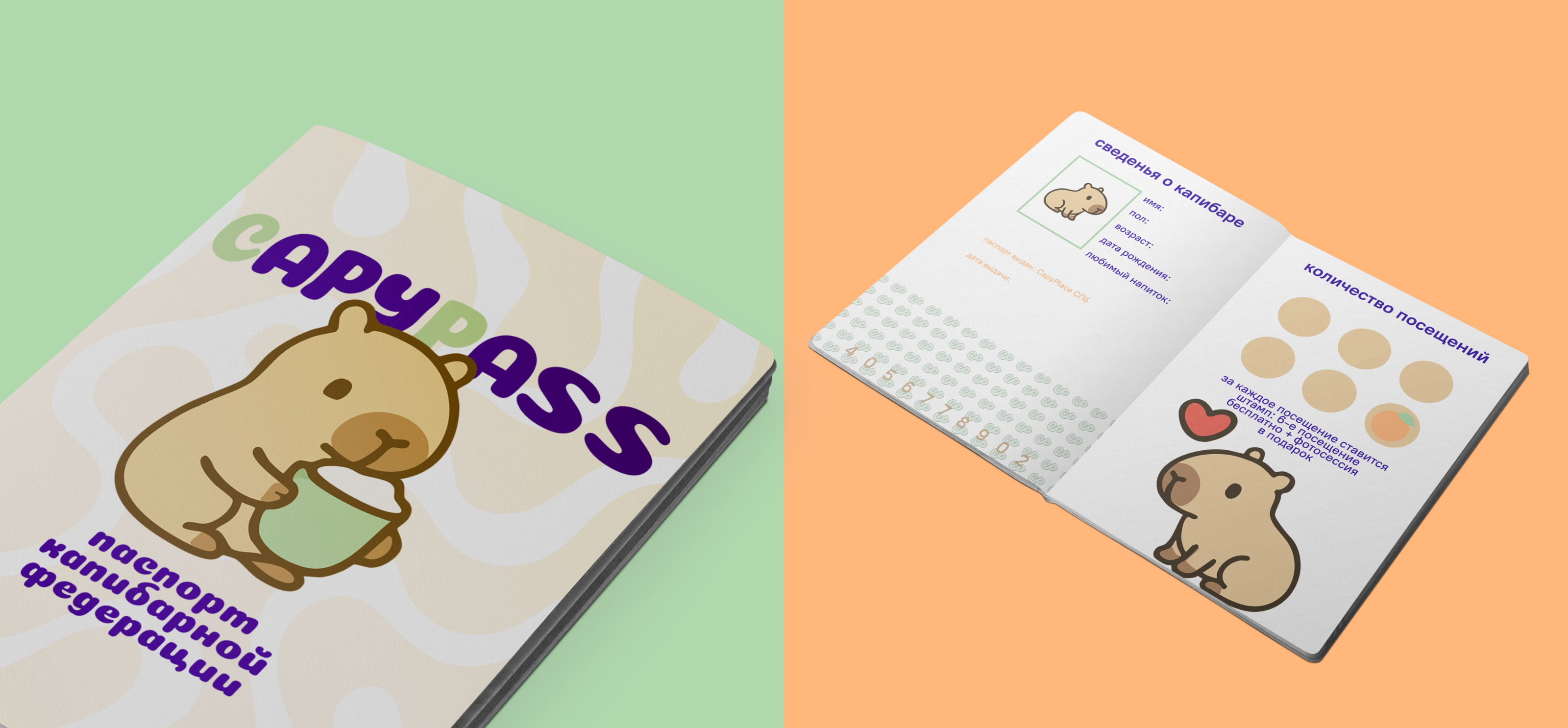 capyplace — Изображение №4 — Брендинг, Графика на Dprofile