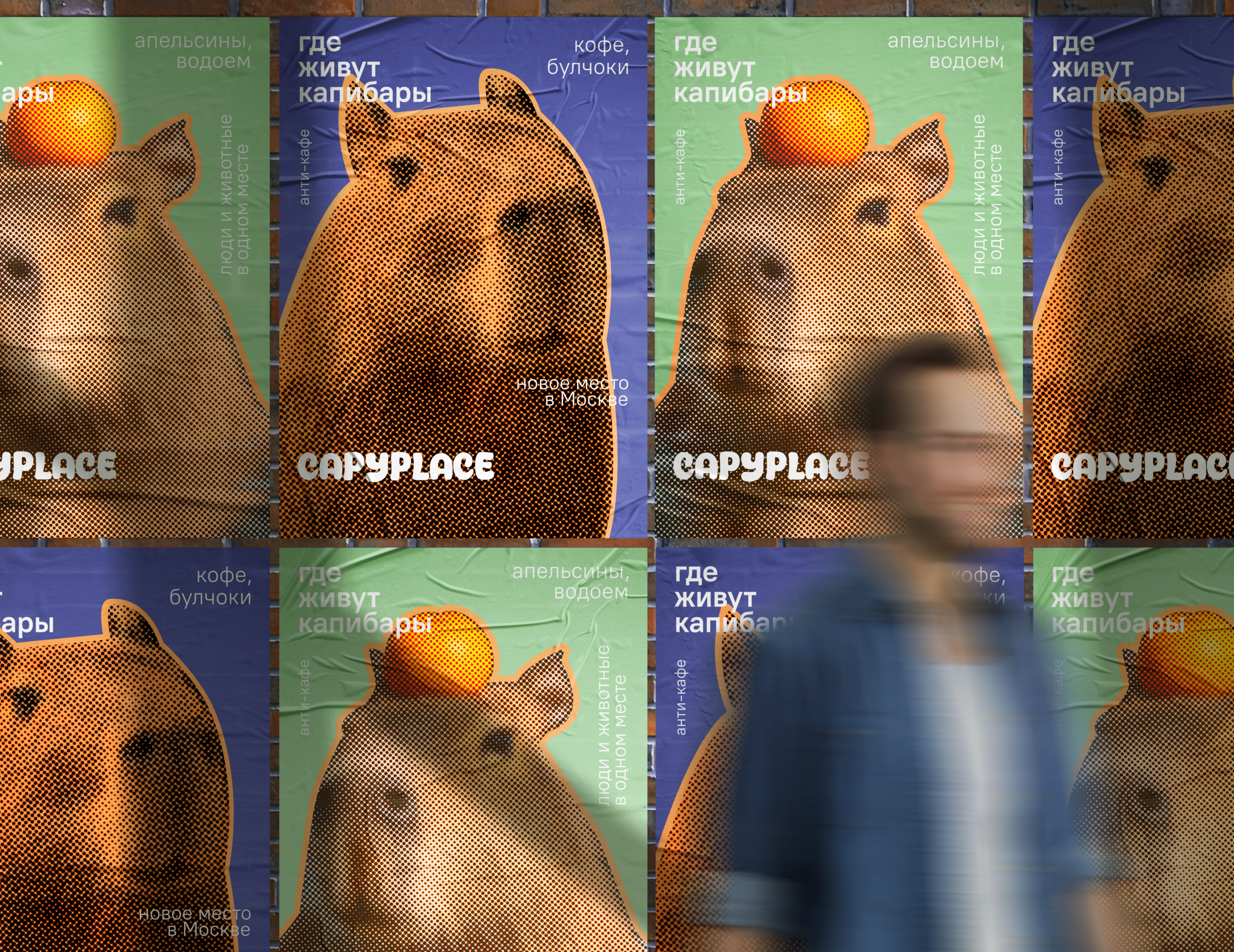 capyplace — Изображение №12 — Брендинг, Графика на Dprofile