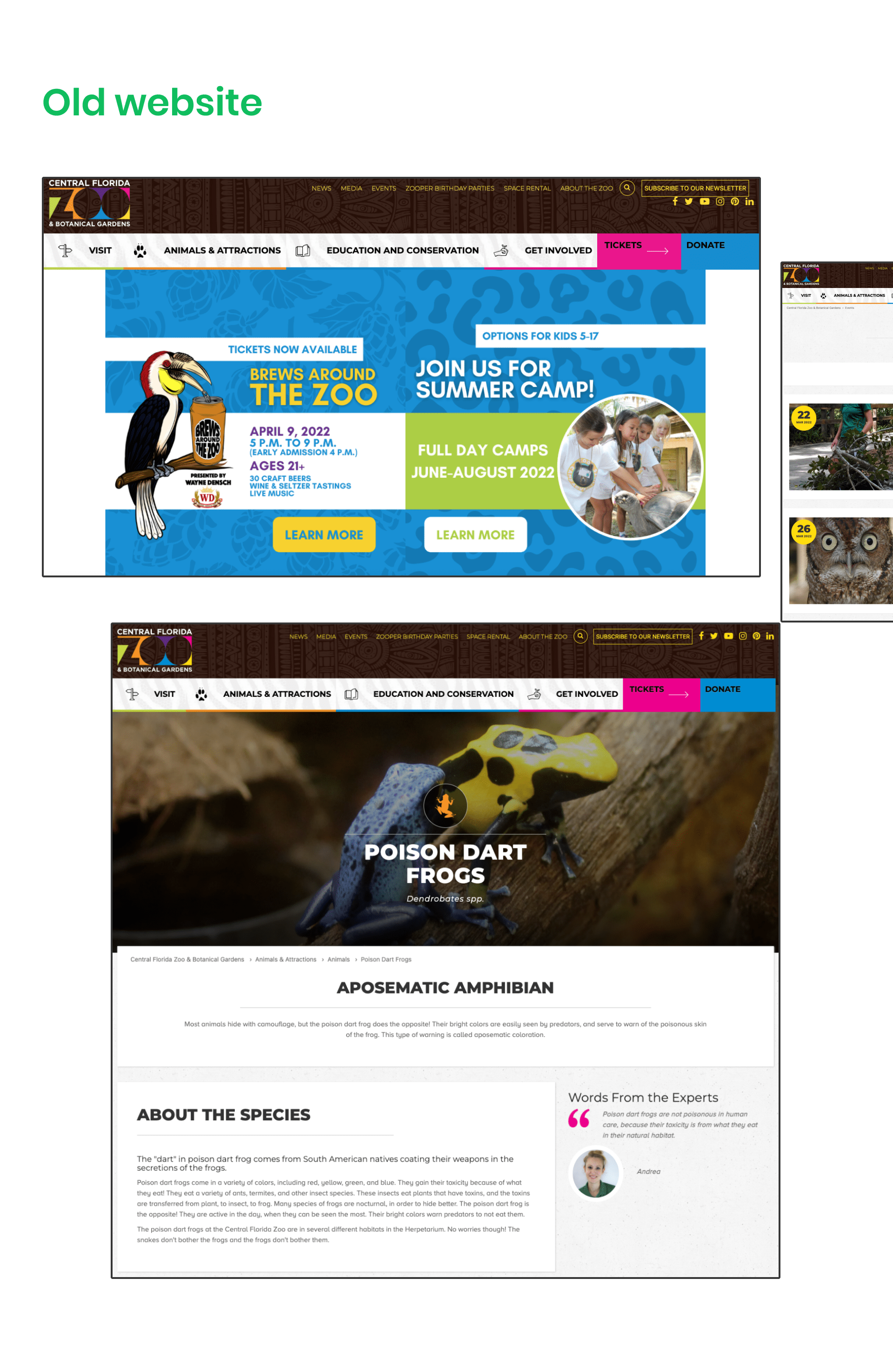 Central Florida Zoo & Botanical Gardens | Redesign website — Изображение №11 — Интерфейсы на Dprofile