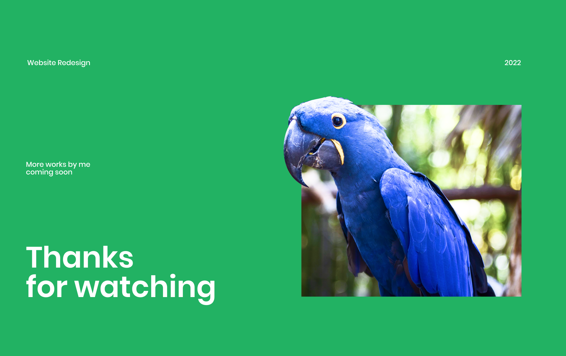 Central Florida Zoo & Botanical Gardens | Redesign website — Изображение №12 — Интерфейсы на Dprofile