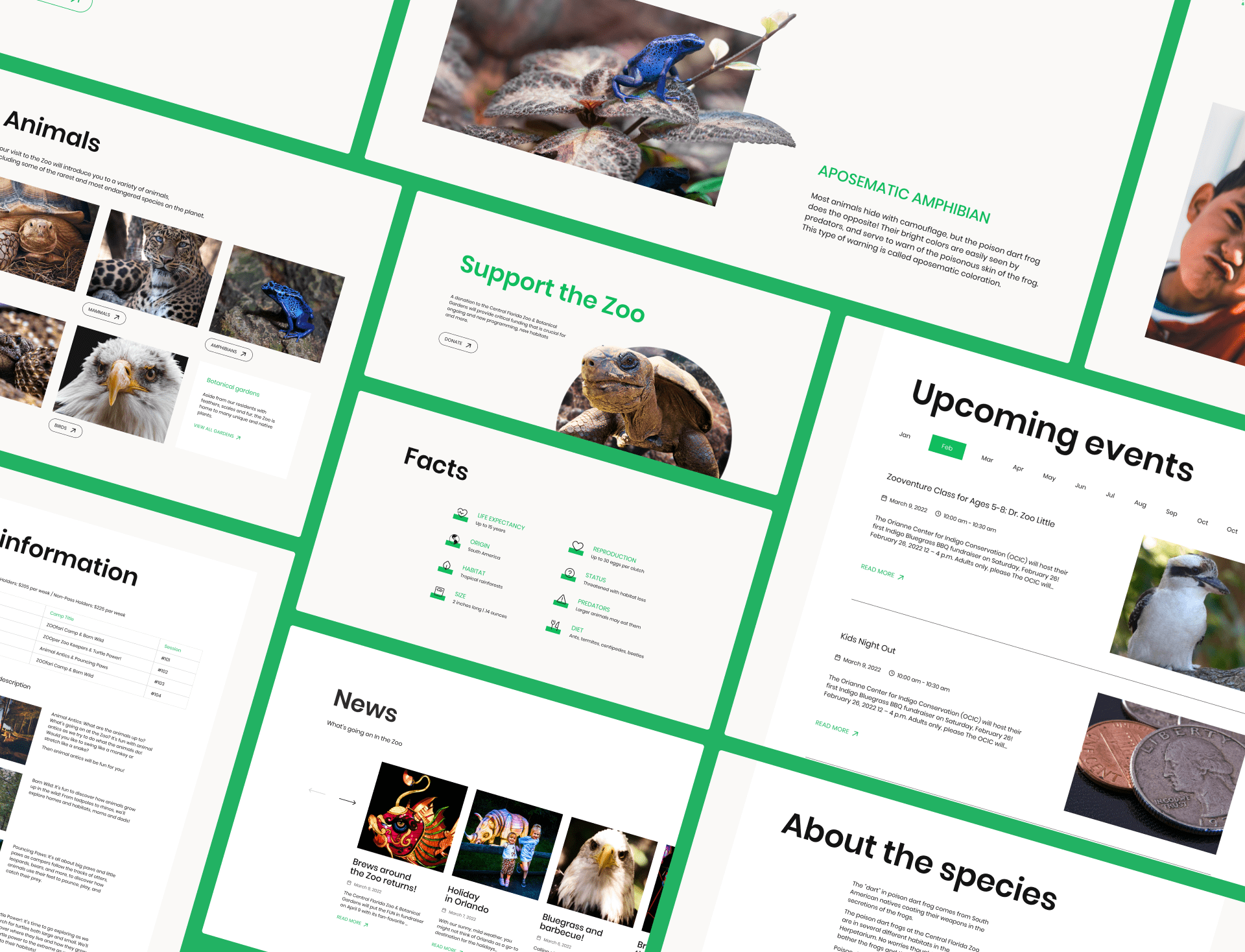 Central Florida Zoo & Botanical Gardens | Redesign website — Изображение №5 — Интерфейсы на Dprofile