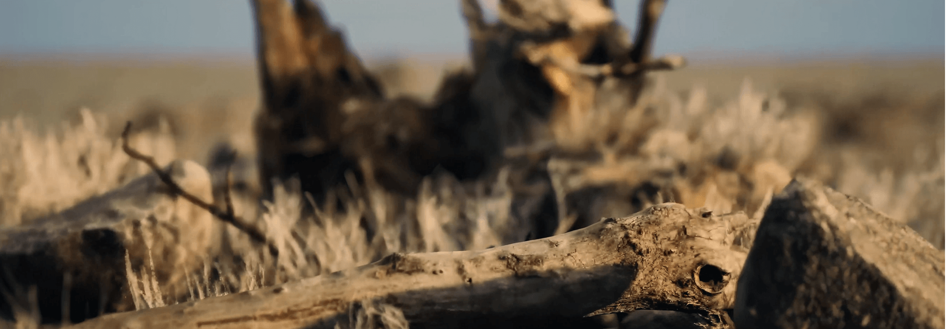 RAVENS — Cinematic Short | Unreal Engine 5 — Изображение №28 — 3D, Анимация на Dprofile
