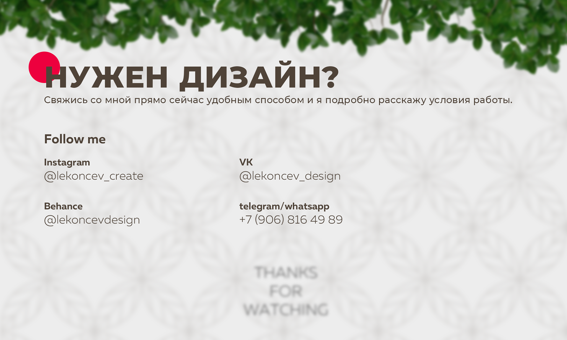 Mandragora — Изображение №10 — Брендинг на Dprofile