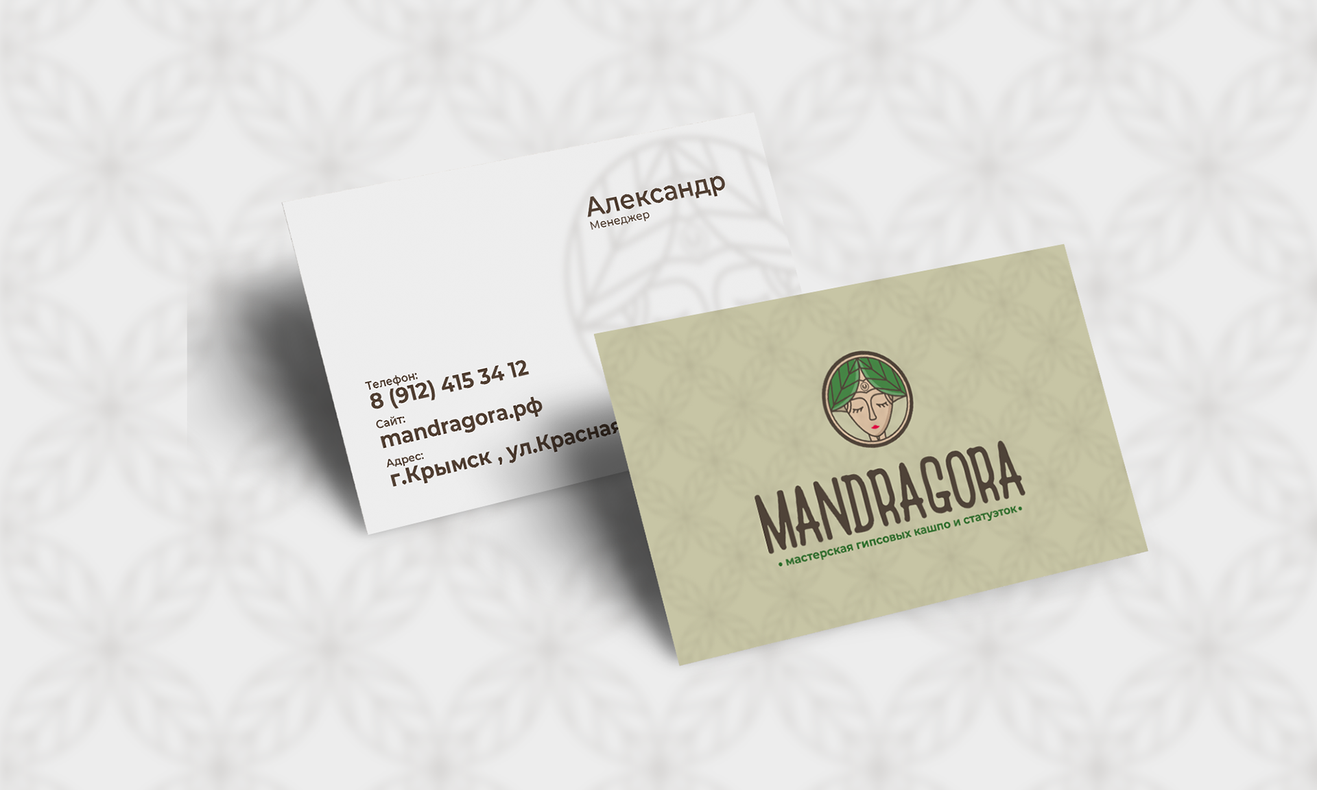 Mandragora — Изображение №5 — Брендинг на Dprofile