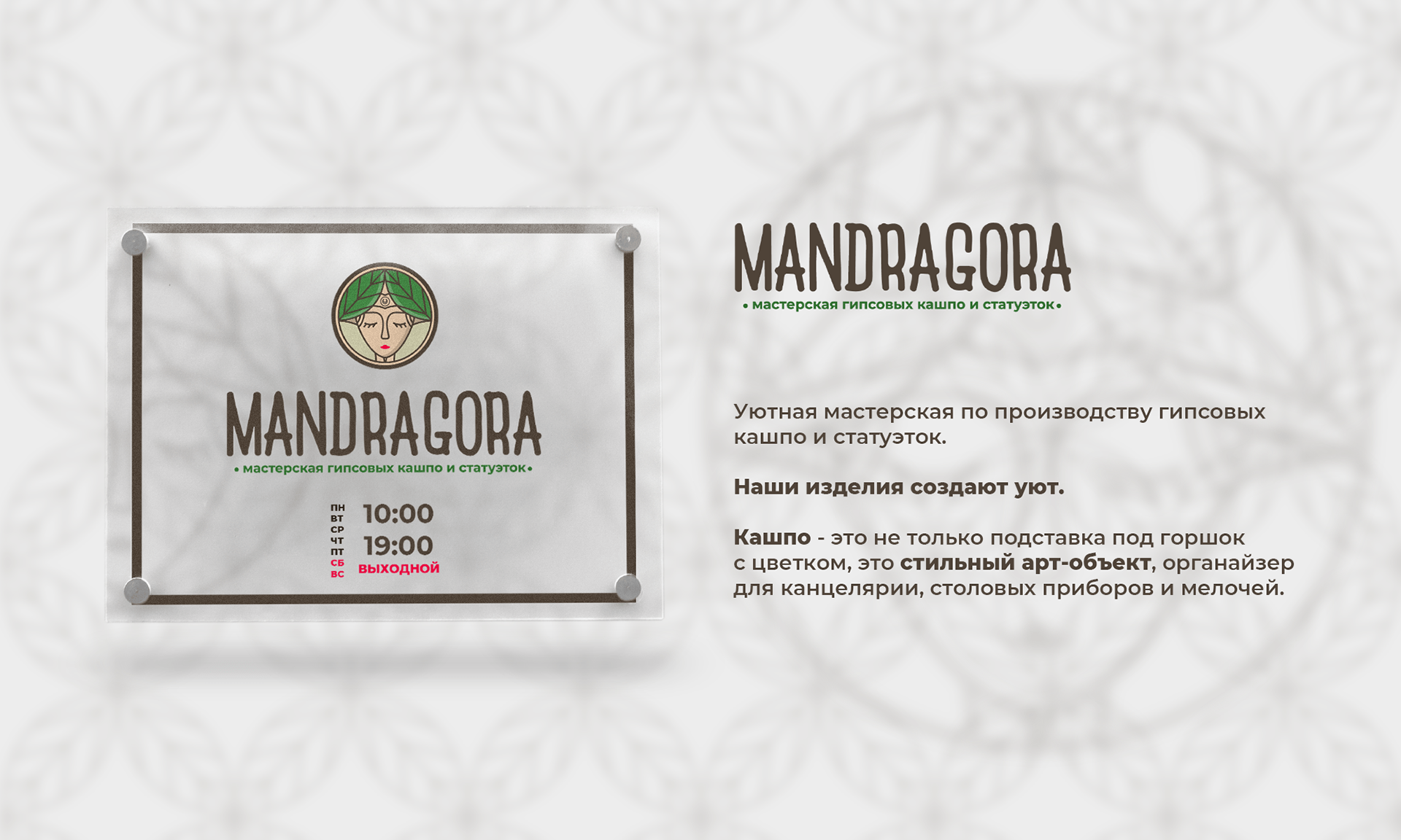 Mandragora — Изображение №2 — Брендинг на Dprofile
