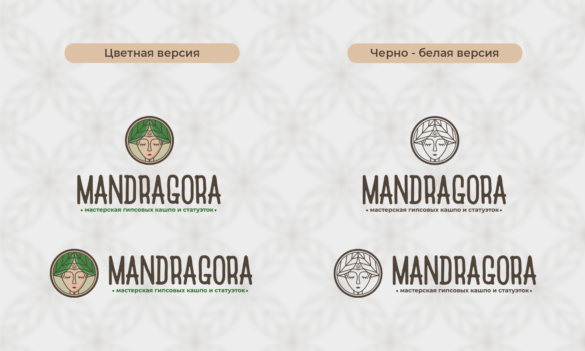 Mandragora — Изображение №3 — Брендинг на Dprofile