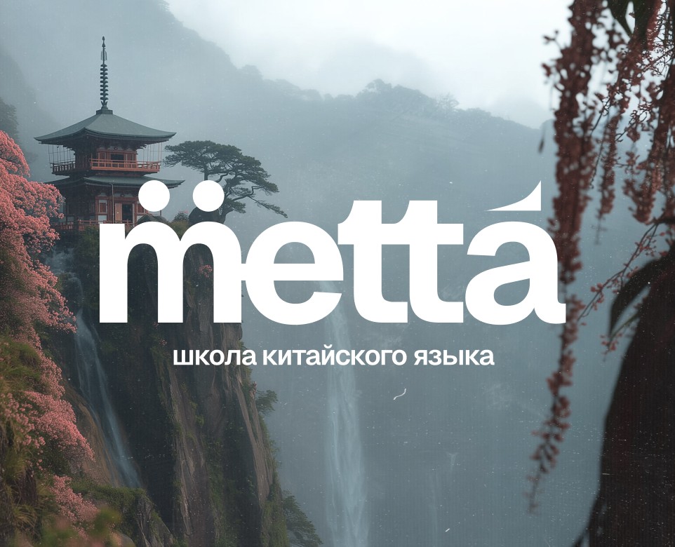 metta - брендинг школы китайского языка — Интерфейсы, Брендинг на Dprofile