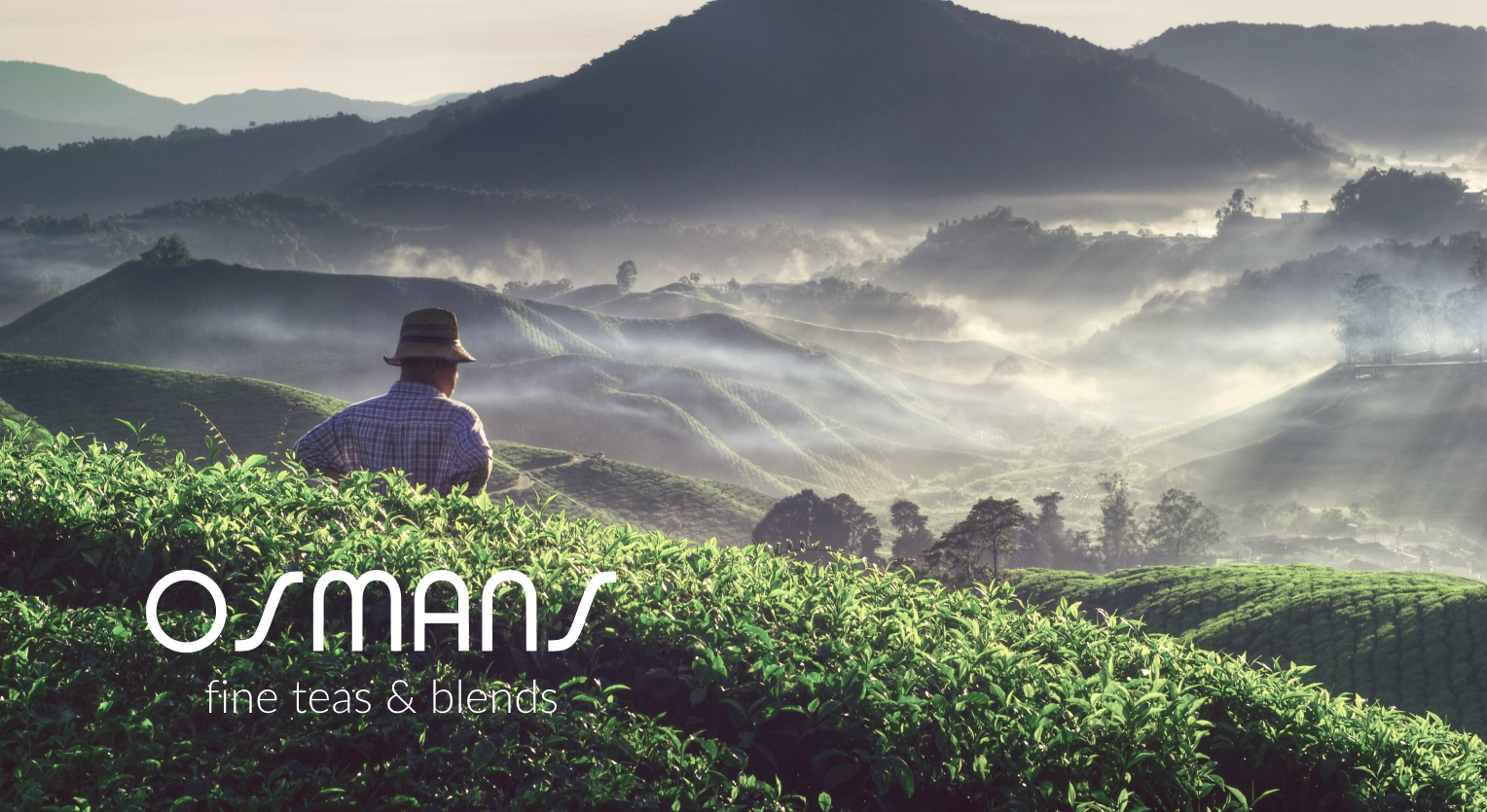 Osmans tea — Изображение №1 — Брендинг, Графика на Dprofile
