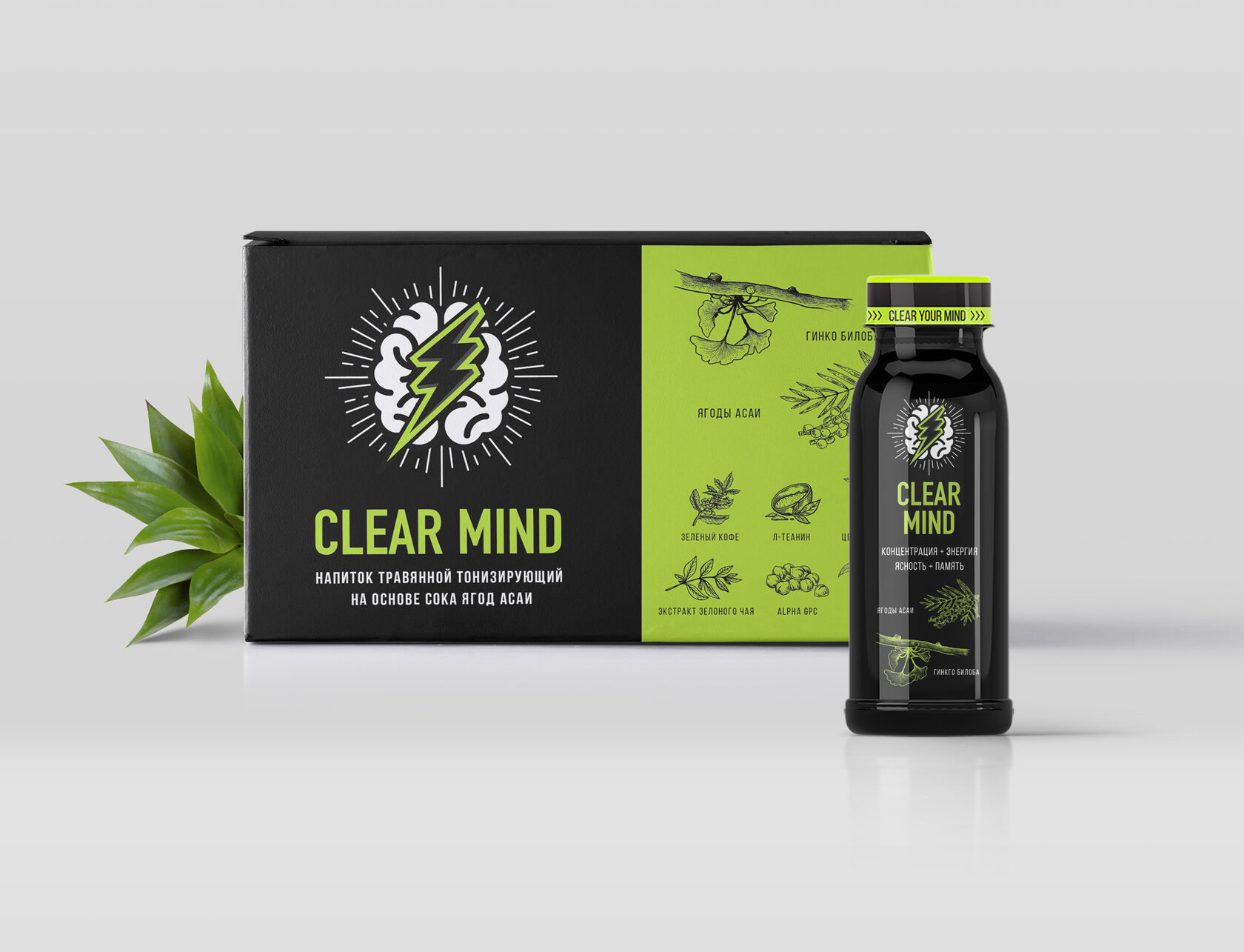 Clear Mind — Изображение №4 — Интерфейсы, Брендинг на Dprofile