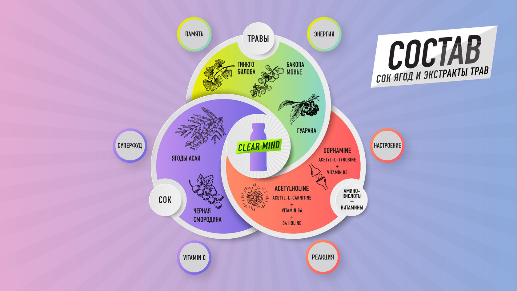 Clear Mind — Изображение №5 — Интерфейсы, Брендинг на Dprofile