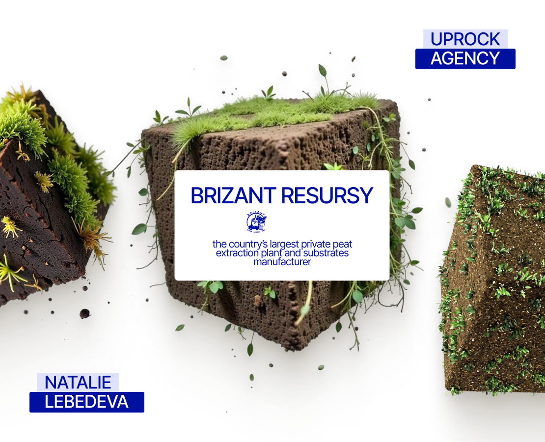BRIZANT RESURSY corporate site — Интерфейсы на Dprofile