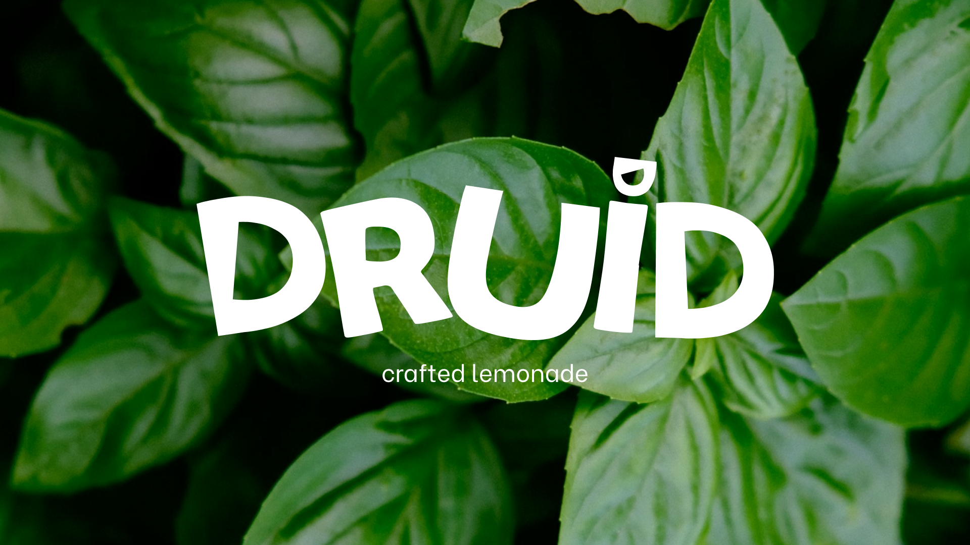 Лимонады «Druid» — Изображение №1 — Брендинг, Иллюстрация на Dprofile