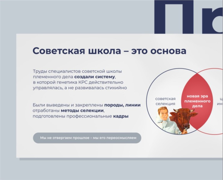 Презентация для конференции — Брендинг, Маркетинг на Dprofile