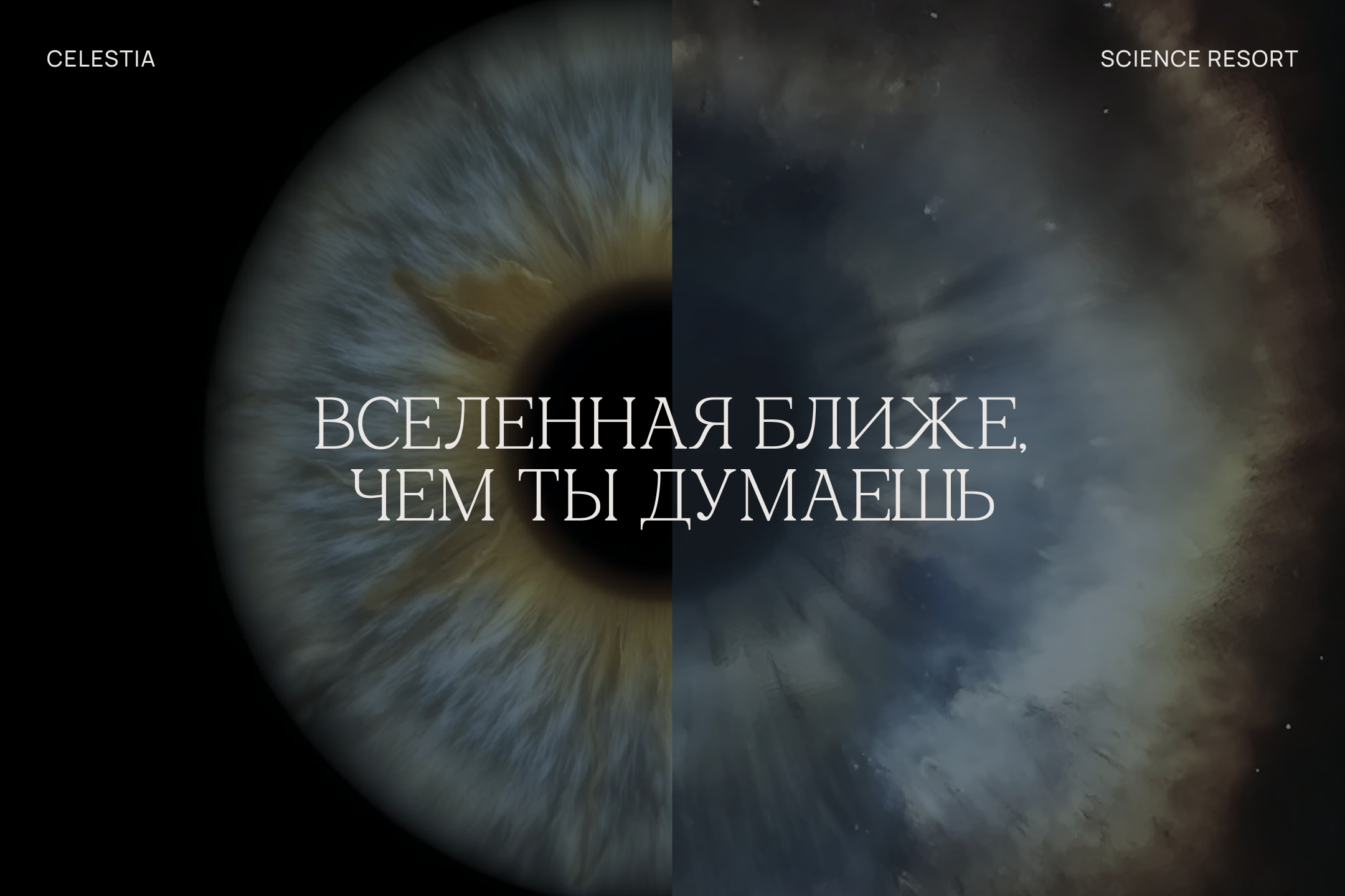 CELESTIA | Фирменный стиль для научного курорта — Изображение №4 — Брендинг на Dprofile