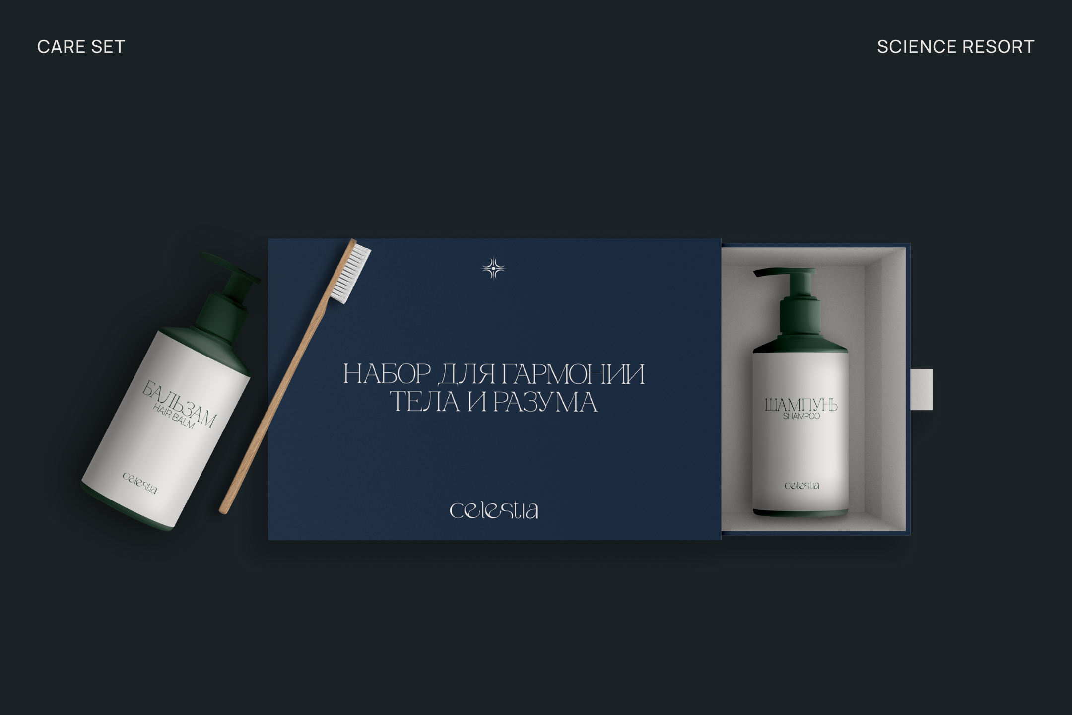 CELESTIA | Фирменный стиль для научного курорта — Изображение №13 — Брендинг на Dprofile