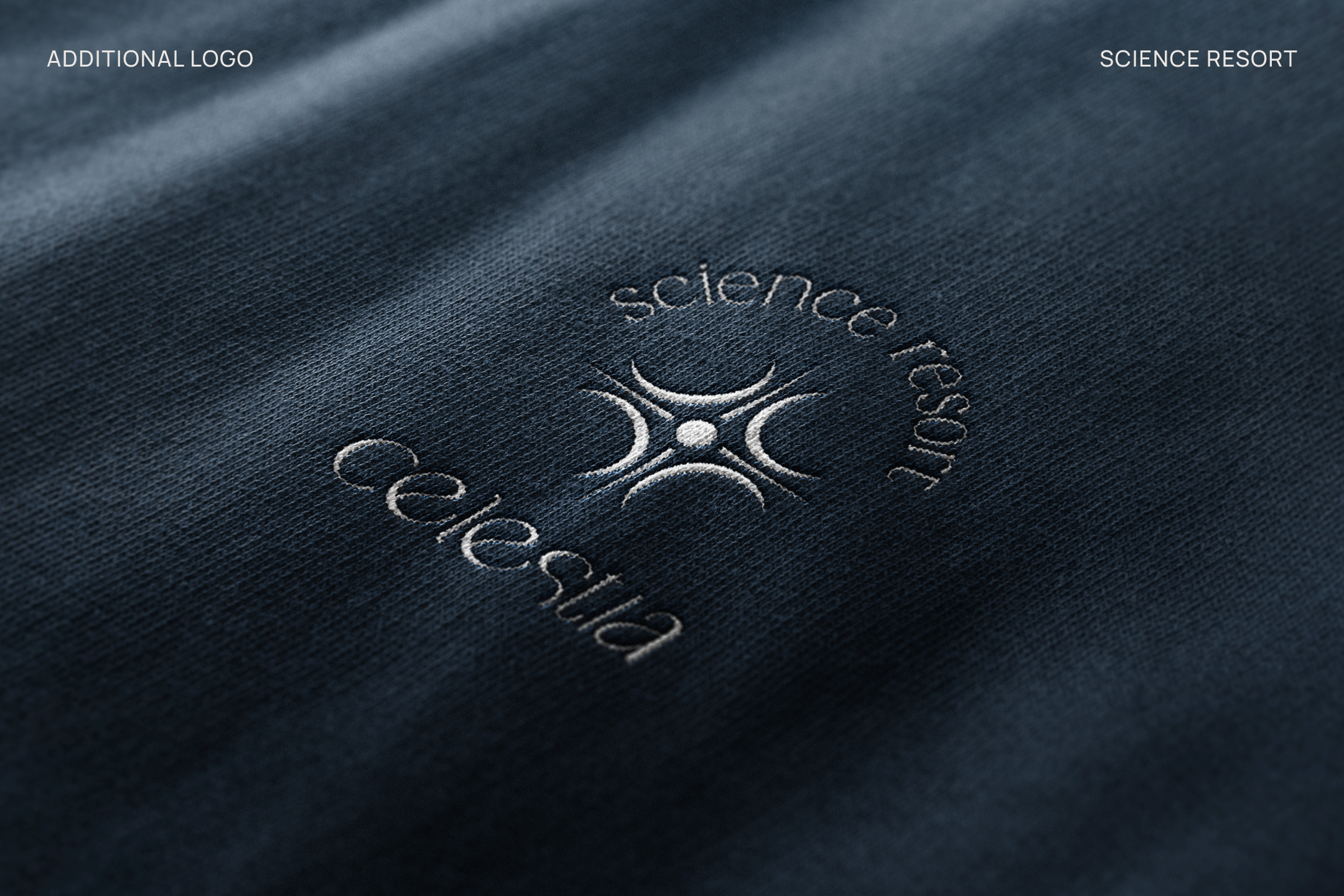 CELESTIA | Фирменный стиль для научного курорта — Изображение №11 — Брендинг на Dprofile