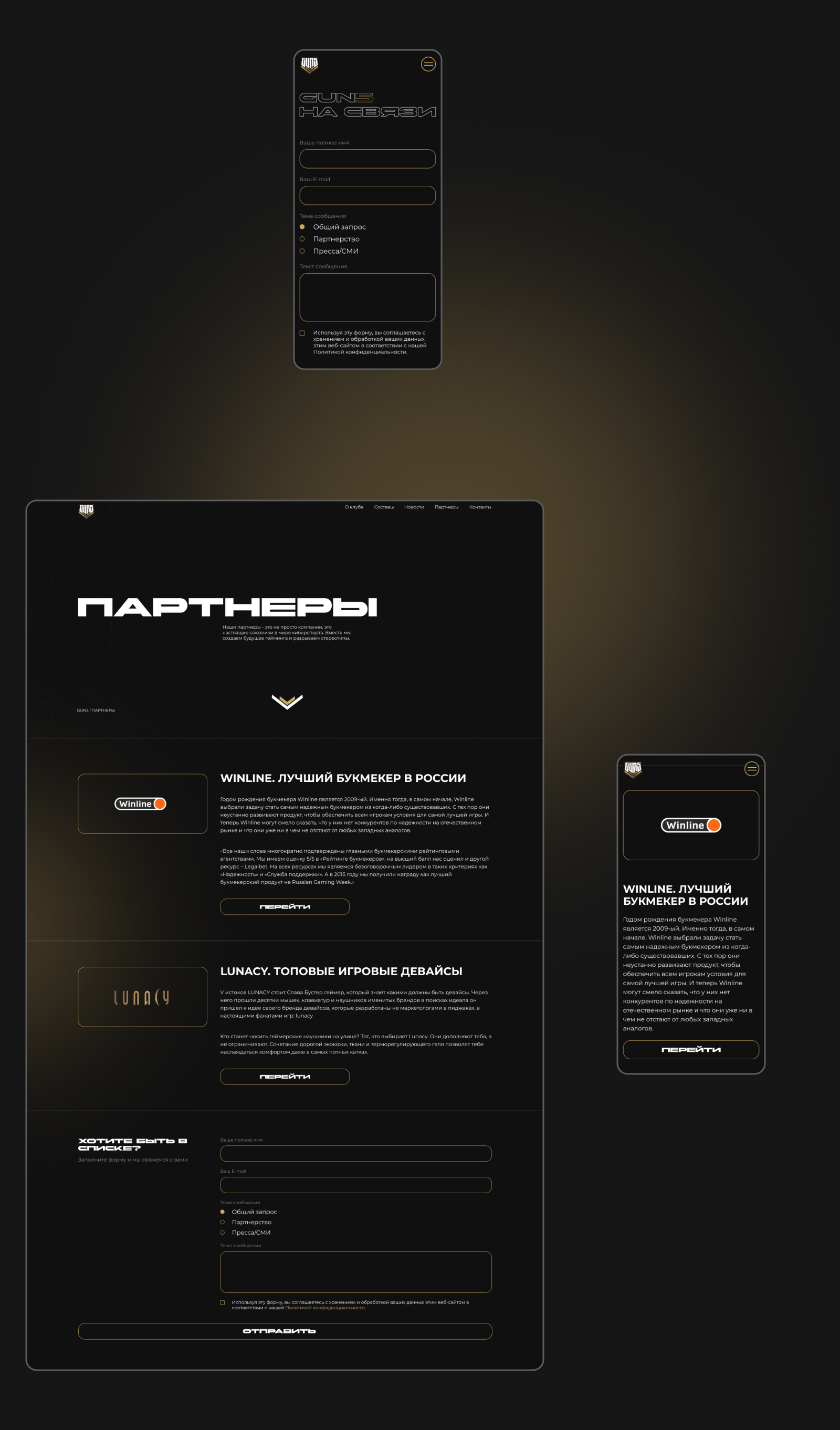 Киберспортивная организация GUN5 корпоративный сайт | Бустер — Изображение №9 — Интерфейсы, Анимация на Dprofile