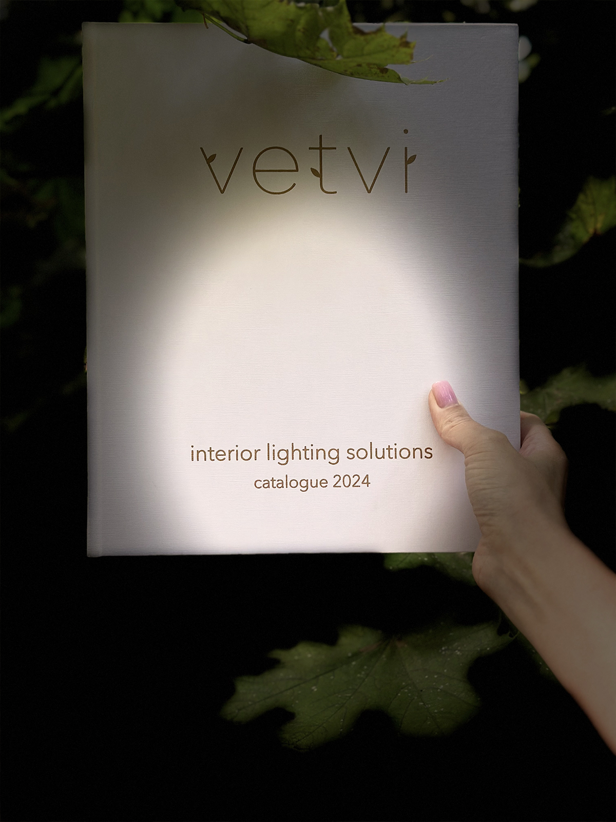V E T V I — Изображение №10 — Графика на Dprofile