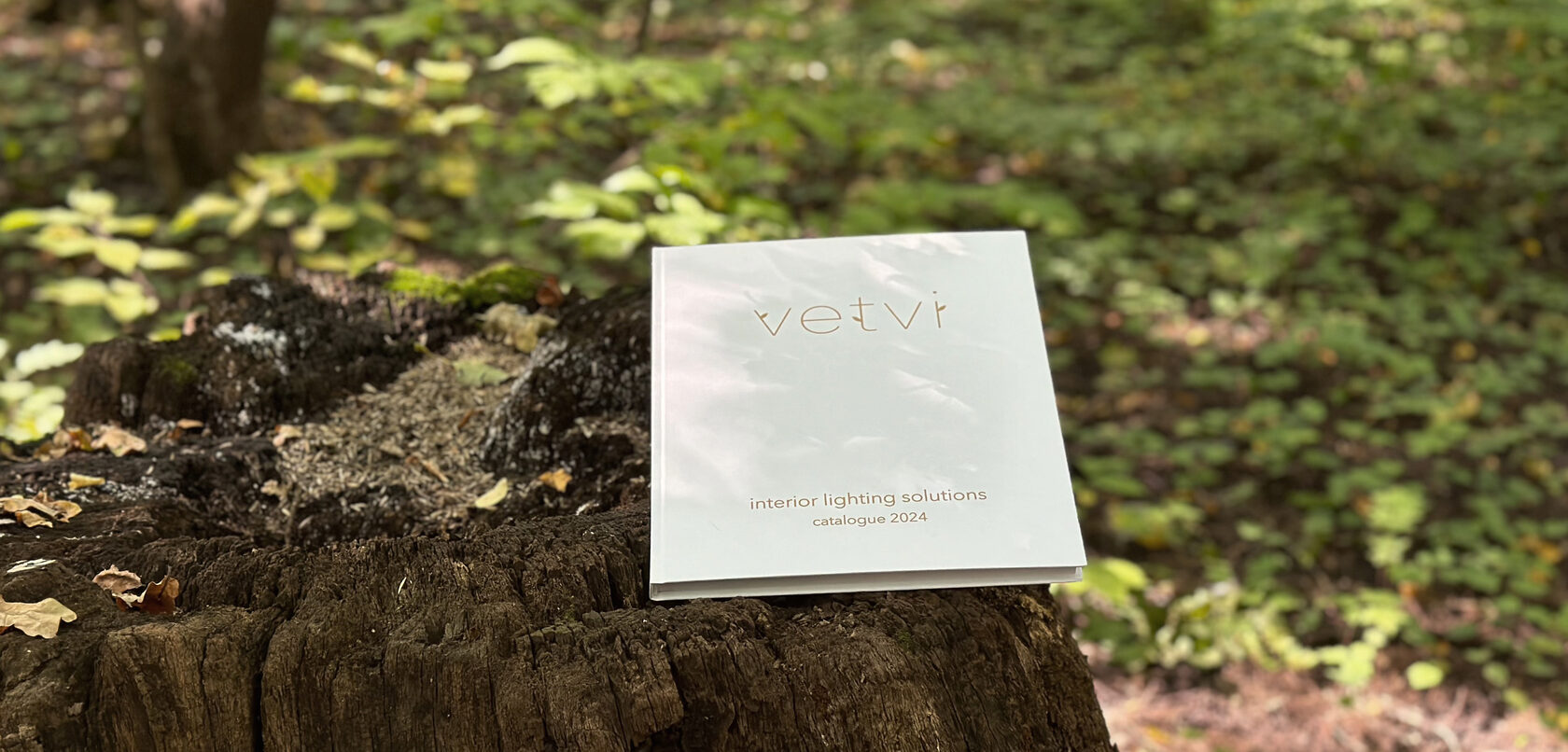 V E T V I — Изображение №1 — Графика на Dprofile