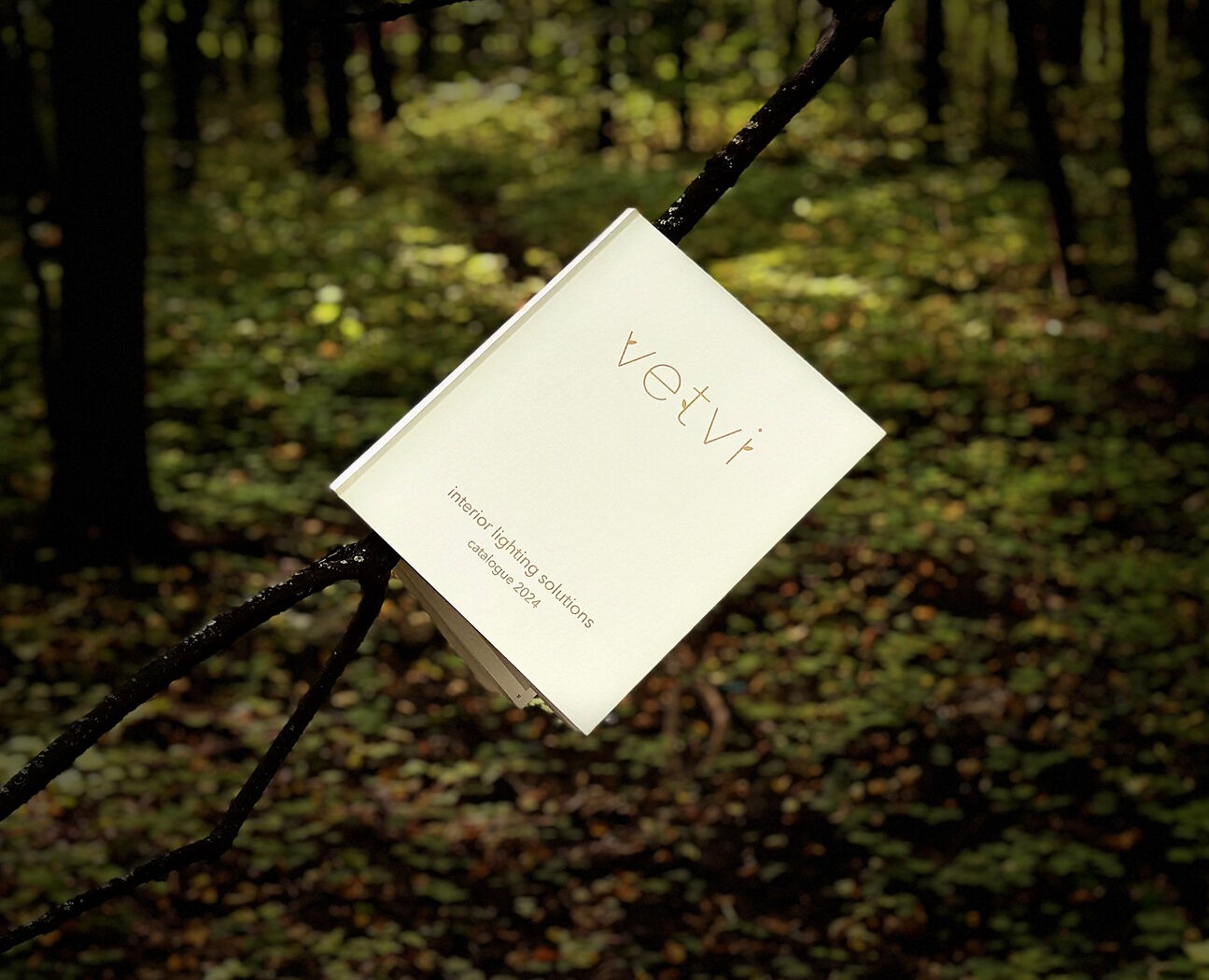 V E T V I — Графика на Dprofile