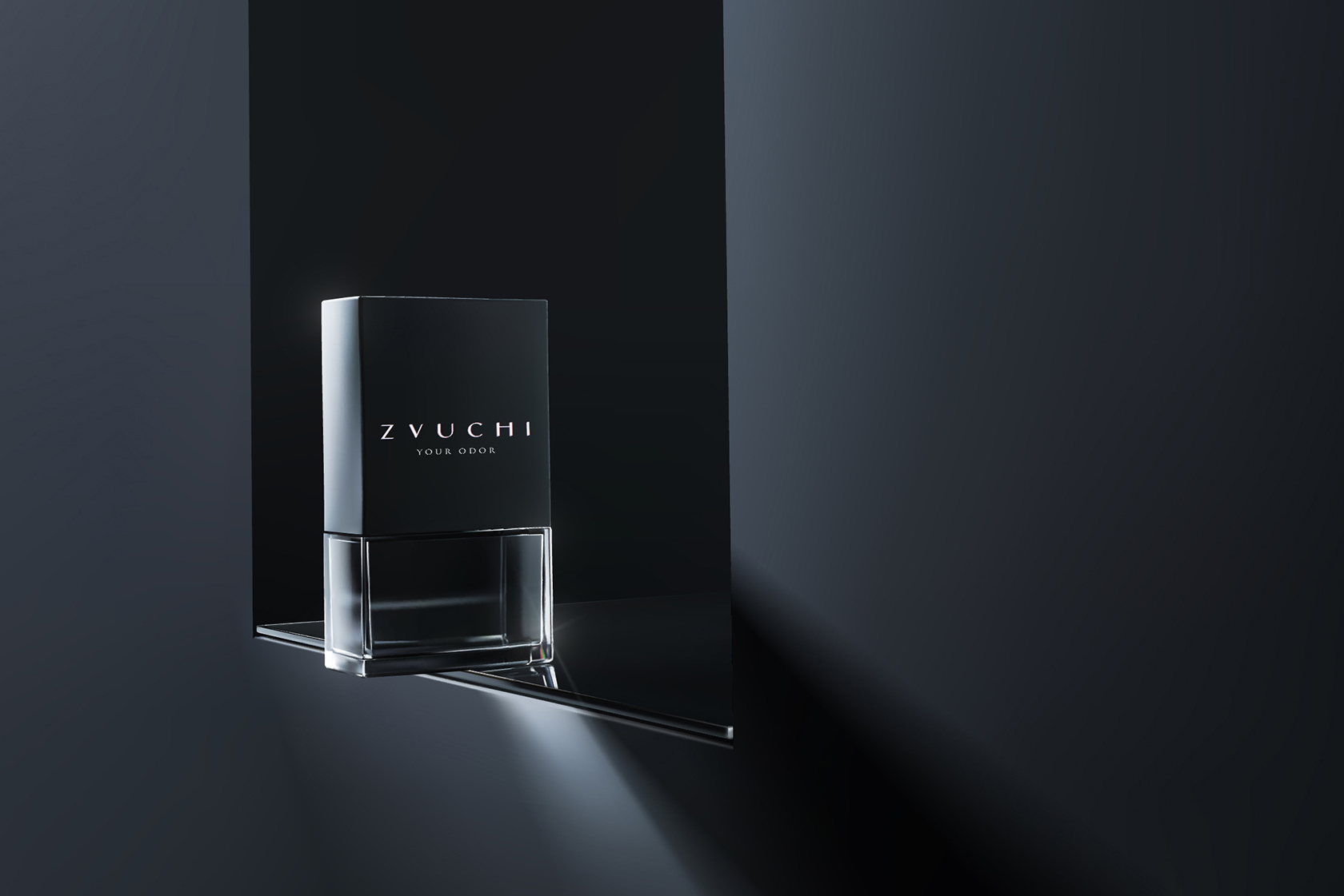 ZVUCHI — Изображение №5 — Брендинг на Dprofile