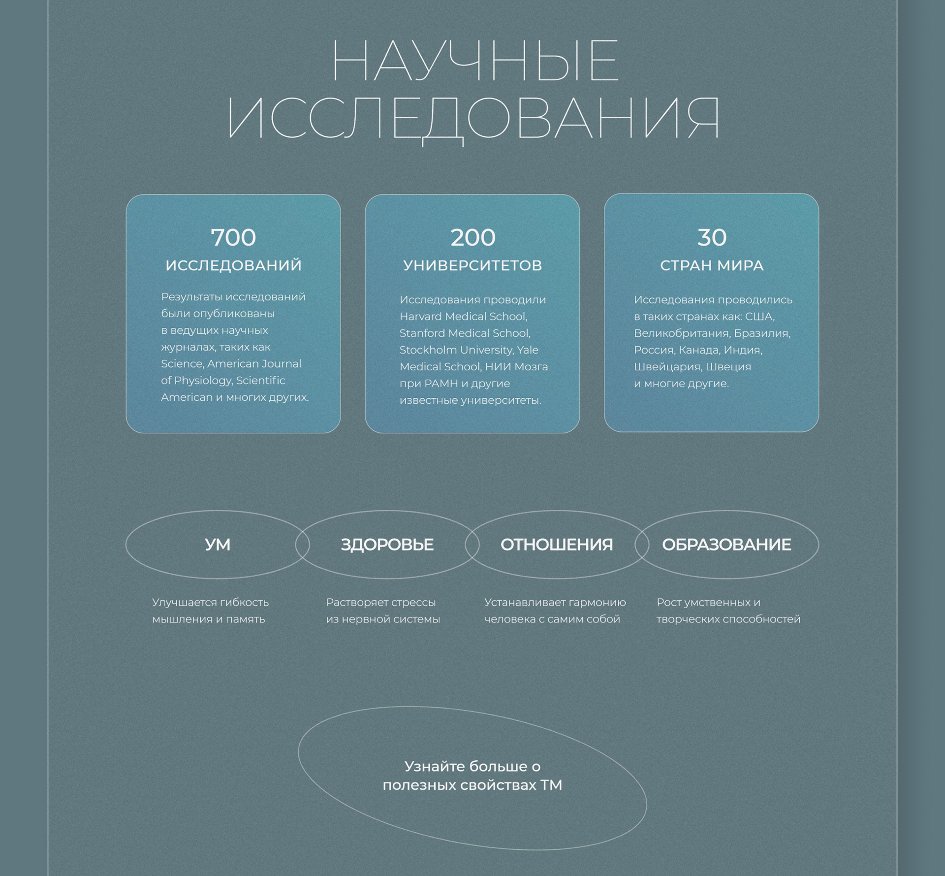 WAYTM — Website Development — Изображение №4 — Интерфейсы, Анимация на Dprofile