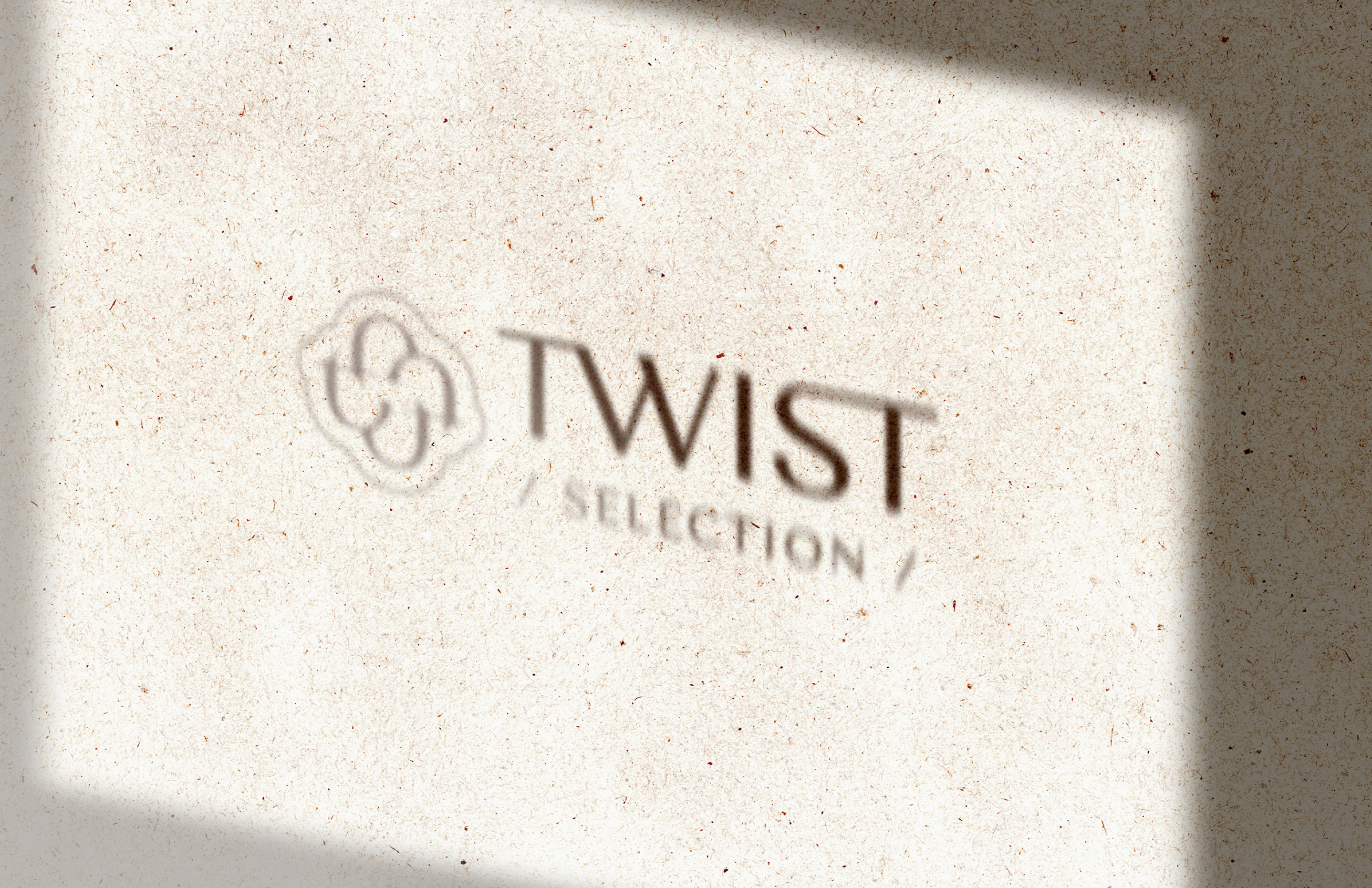 TWIST / Логотип и фирменный стиль — Изображение №3 — Брендинг на Dprofile