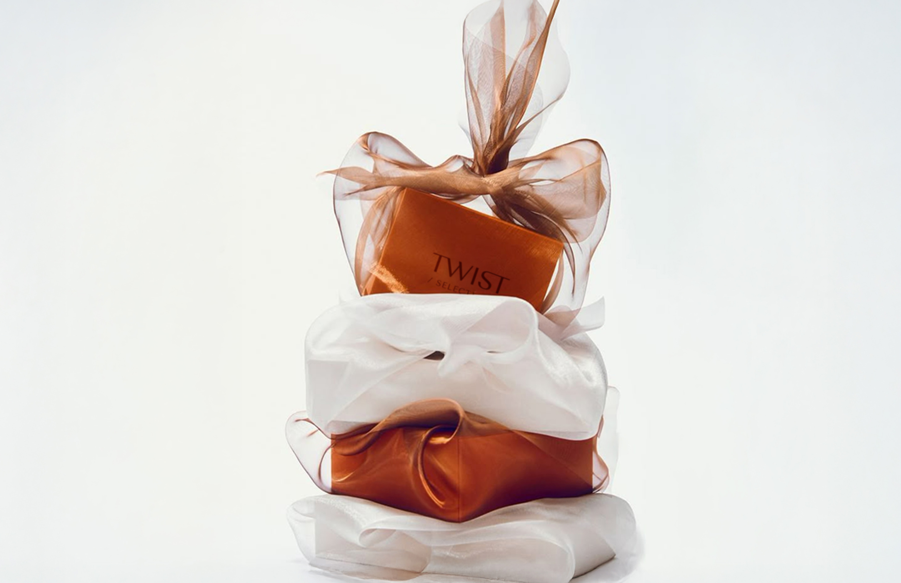 TWIST / Логотип и фирменный стиль — Изображение №13 — Брендинг на Dprofile