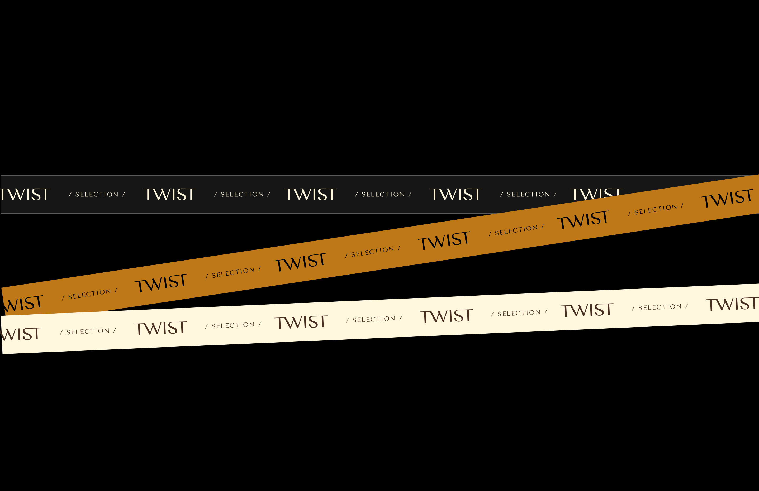 TWIST / Логотип и фирменный стиль — Изображение №10 — Брендинг на Dprofile