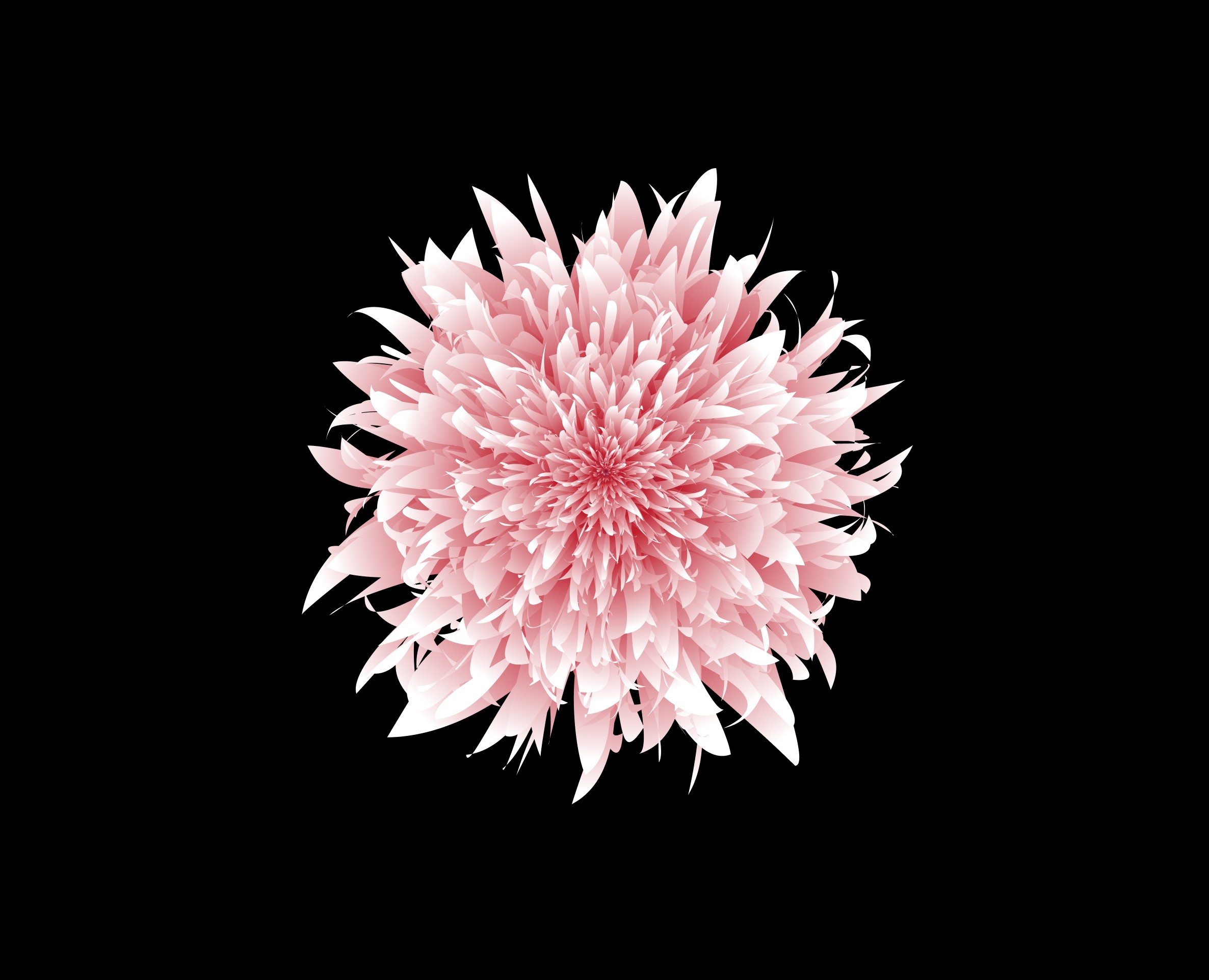 FLORISTA | Каталог живых эмоций — Иллюстрация, Графика на Dprofile