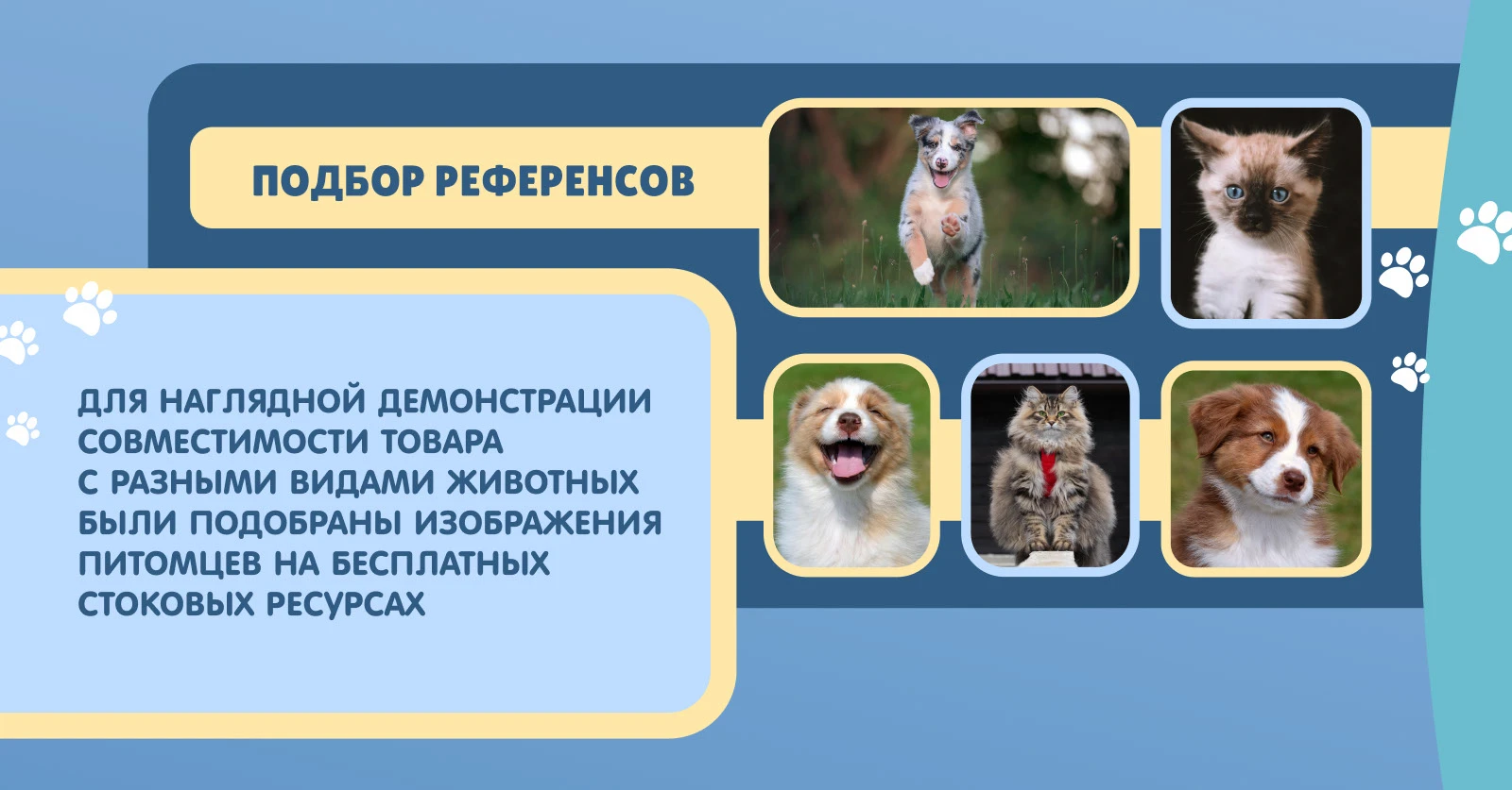 Инфографика щетки для питомцев для Ozon и WB — Изображение №4 — Маркетинг на Dprofile